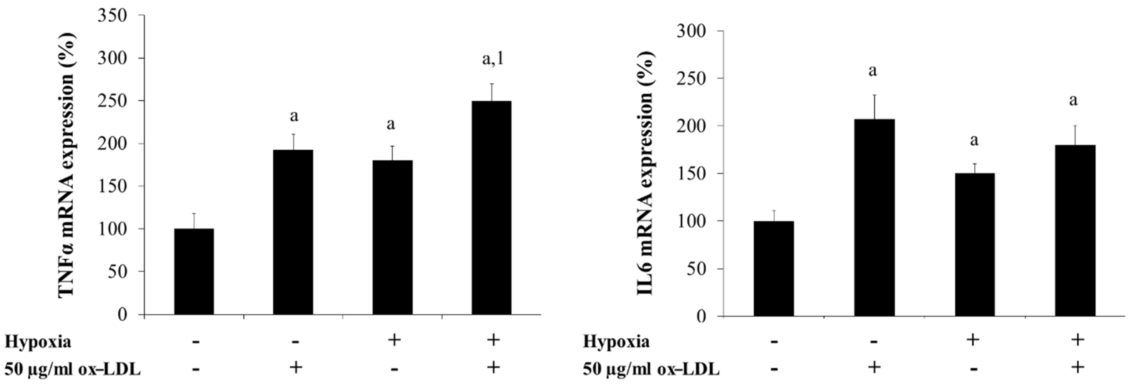 Biomedicines 09 01715 g007 Biomedicines 09 01715 g007