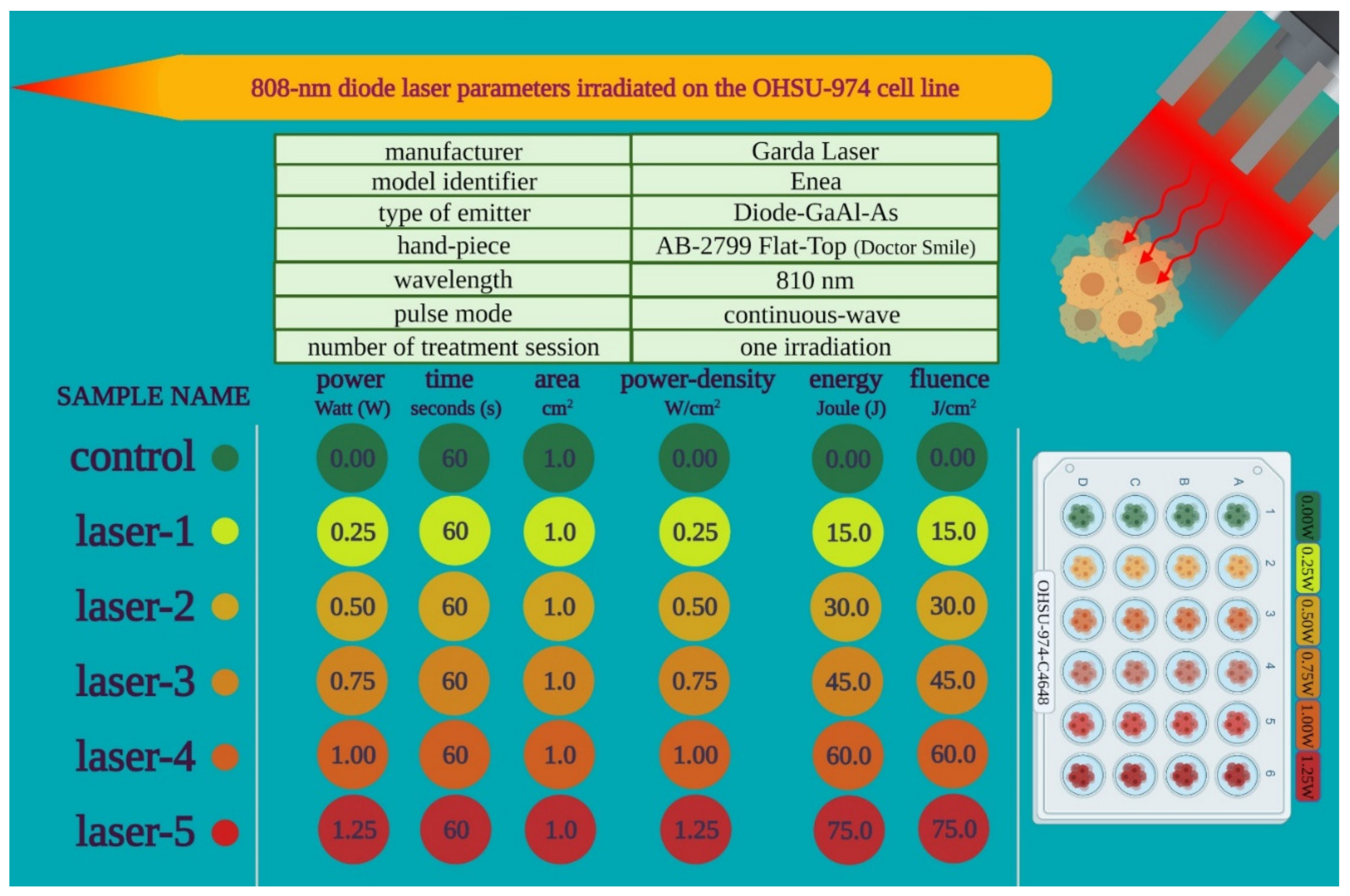 Biomedicines 09 01717 g001