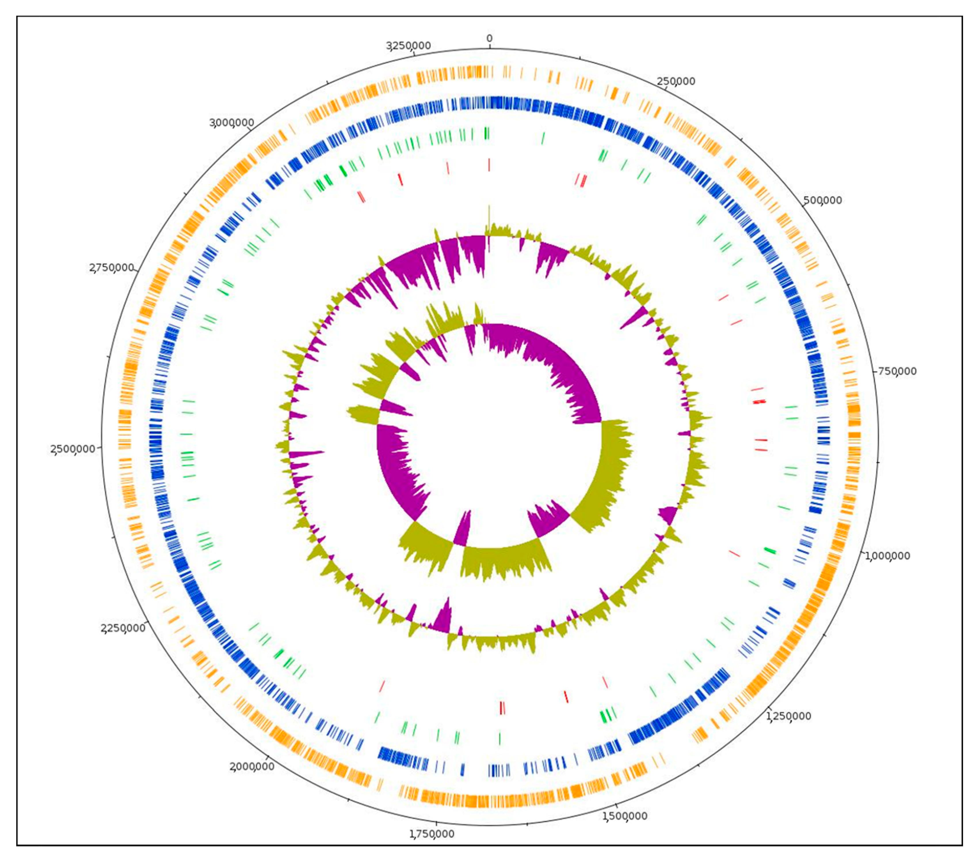 Biomedicines 09 01718 g001