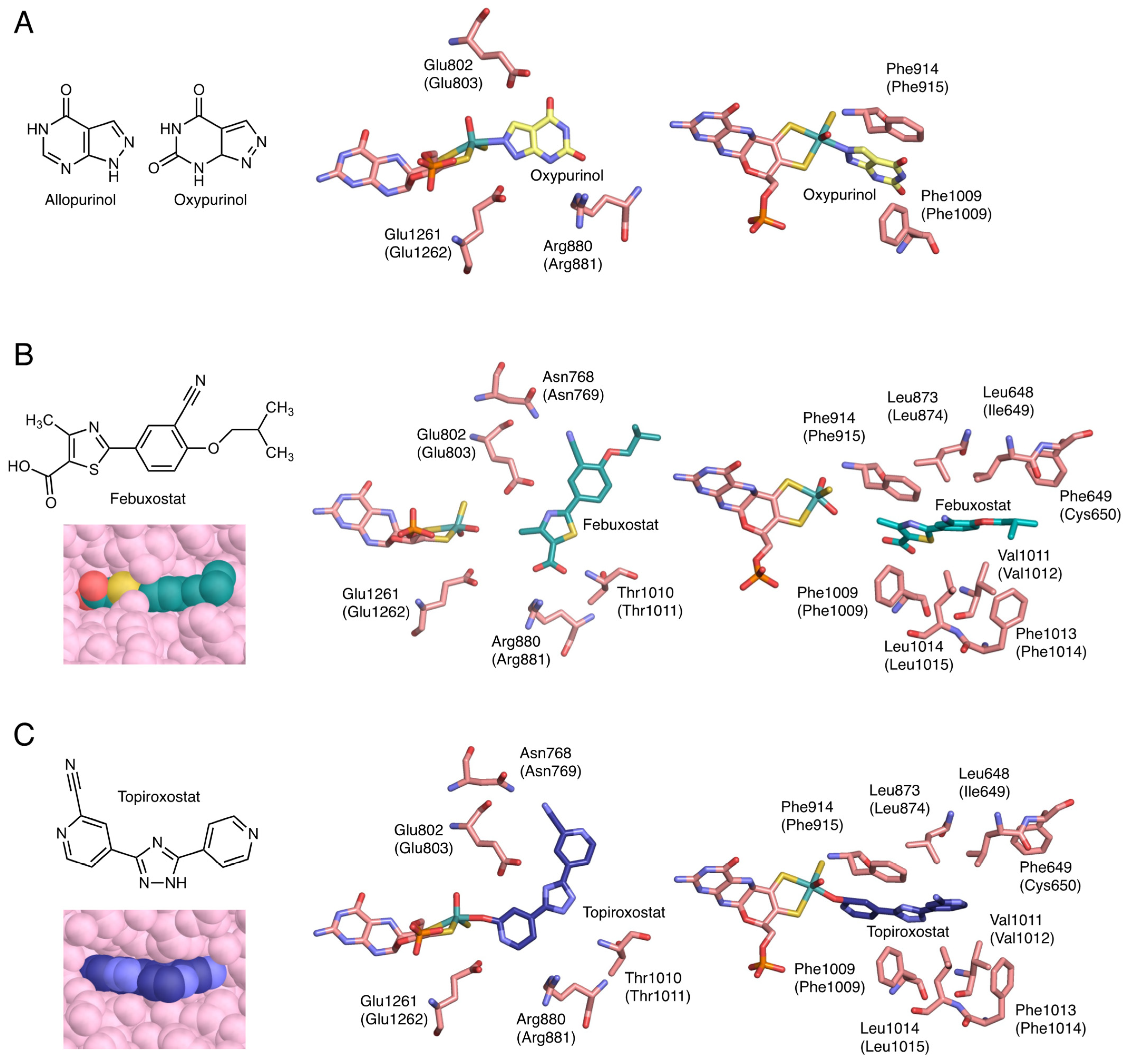 Biomedicines 09 01723 g004