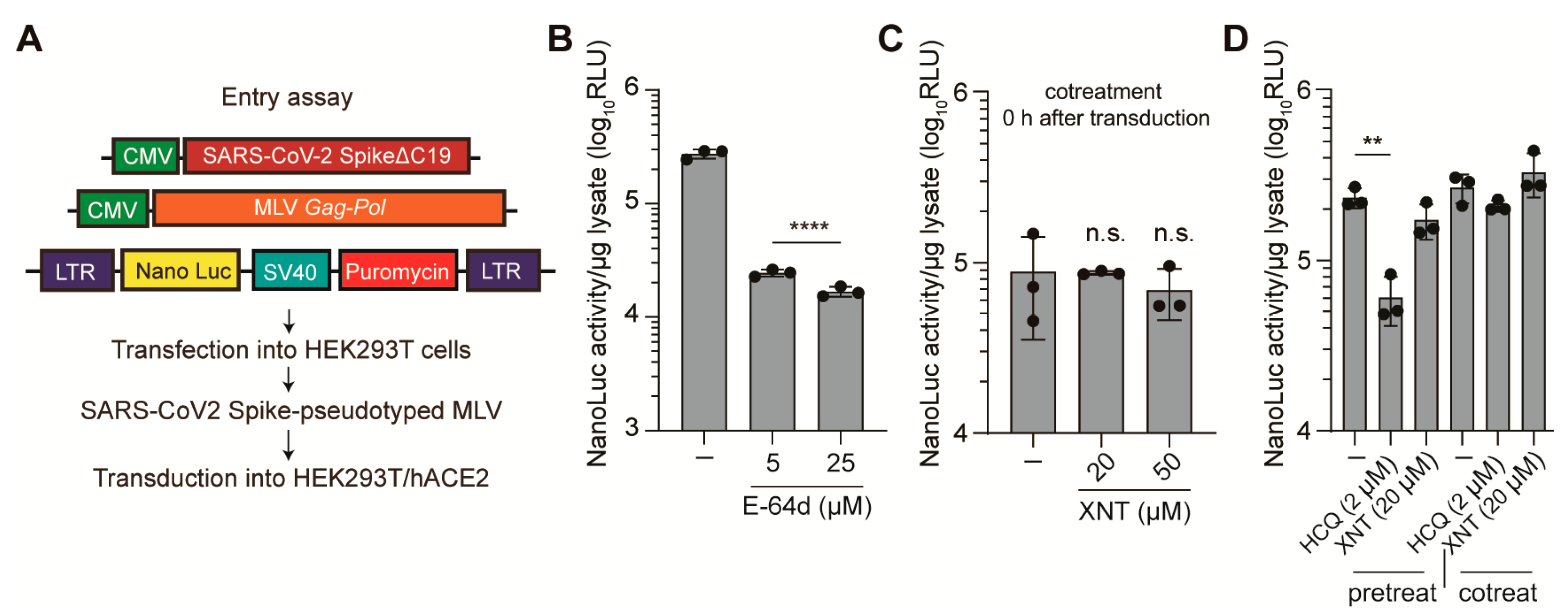 Biomedicines 09 01725 g002 550