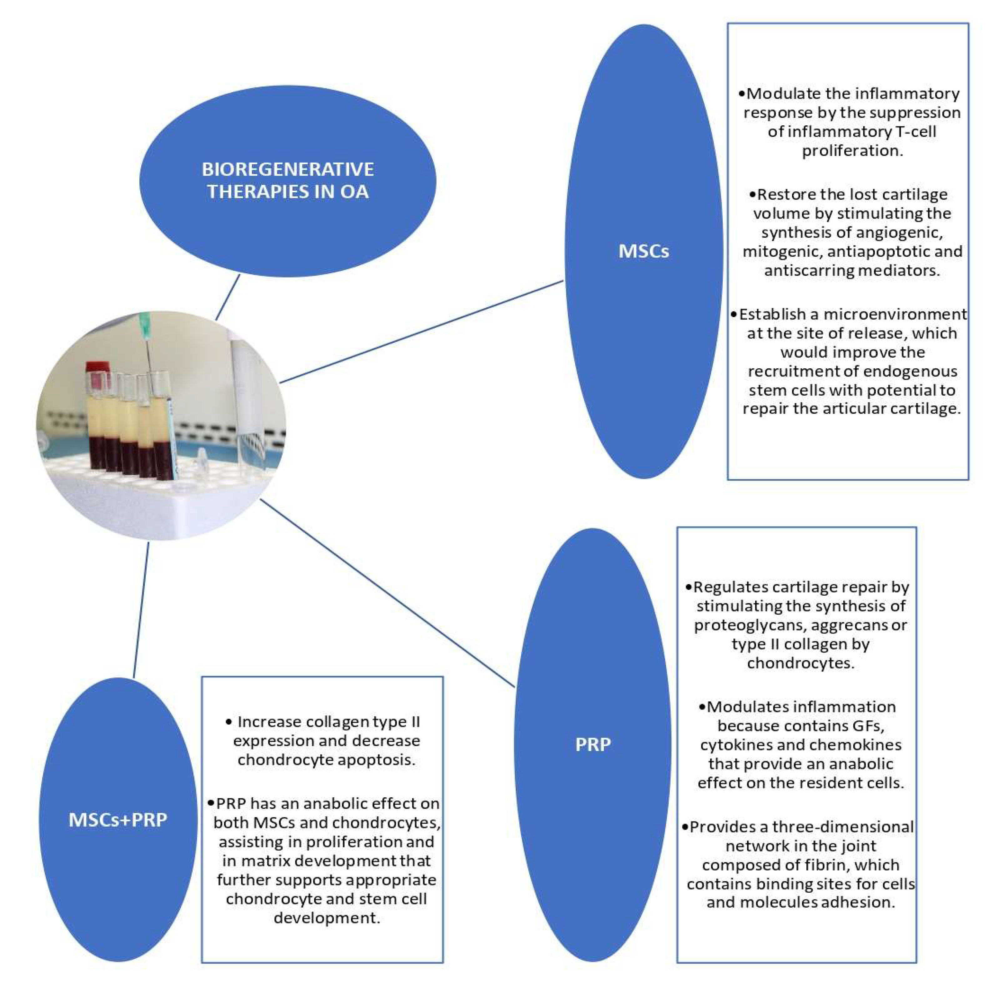 3177px x 3195px - Biomedicines | Free Full-Text | Cell and Cell Free Therapies in  Osteoarthritis