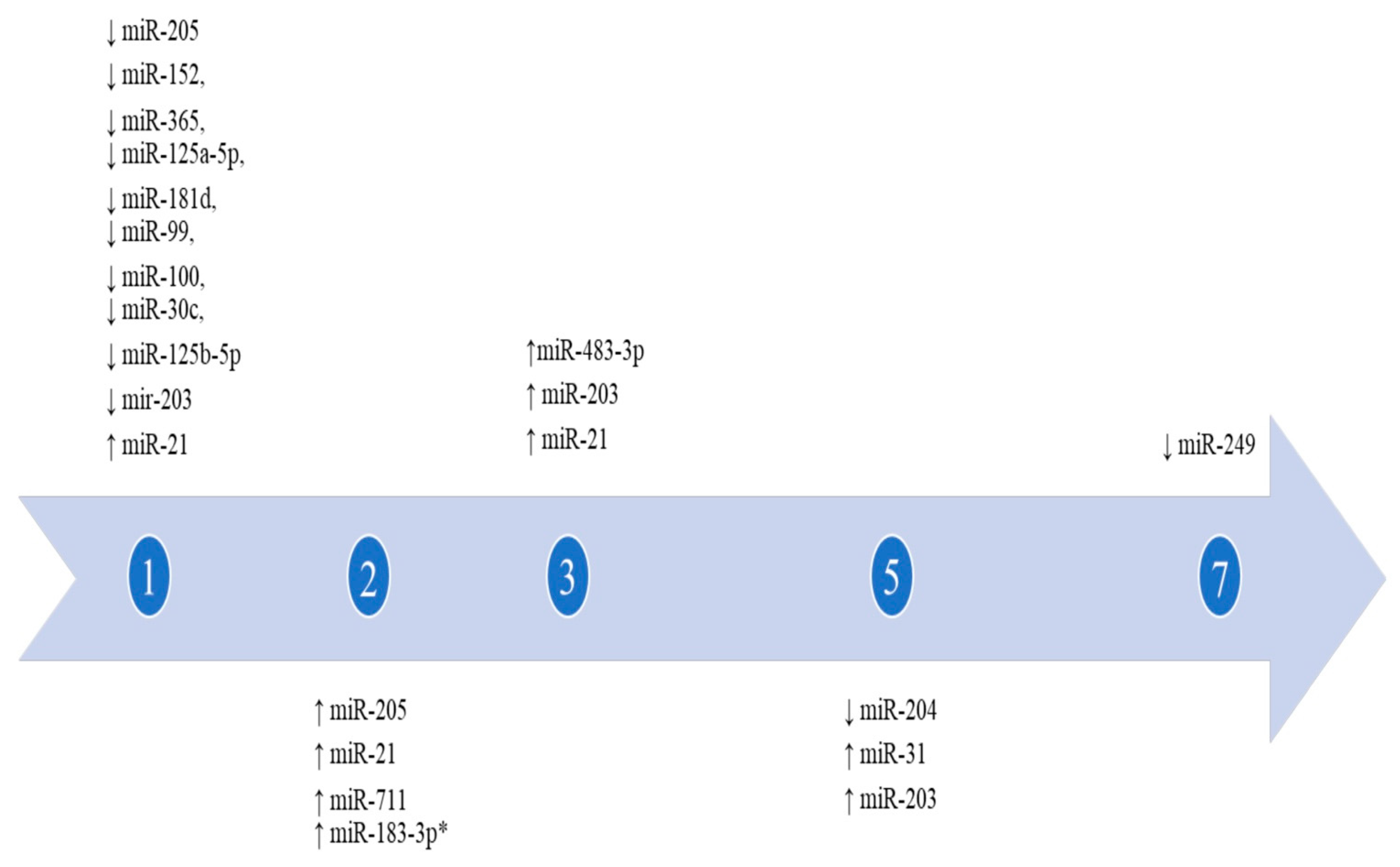 Biomedicines 09 01731 g002