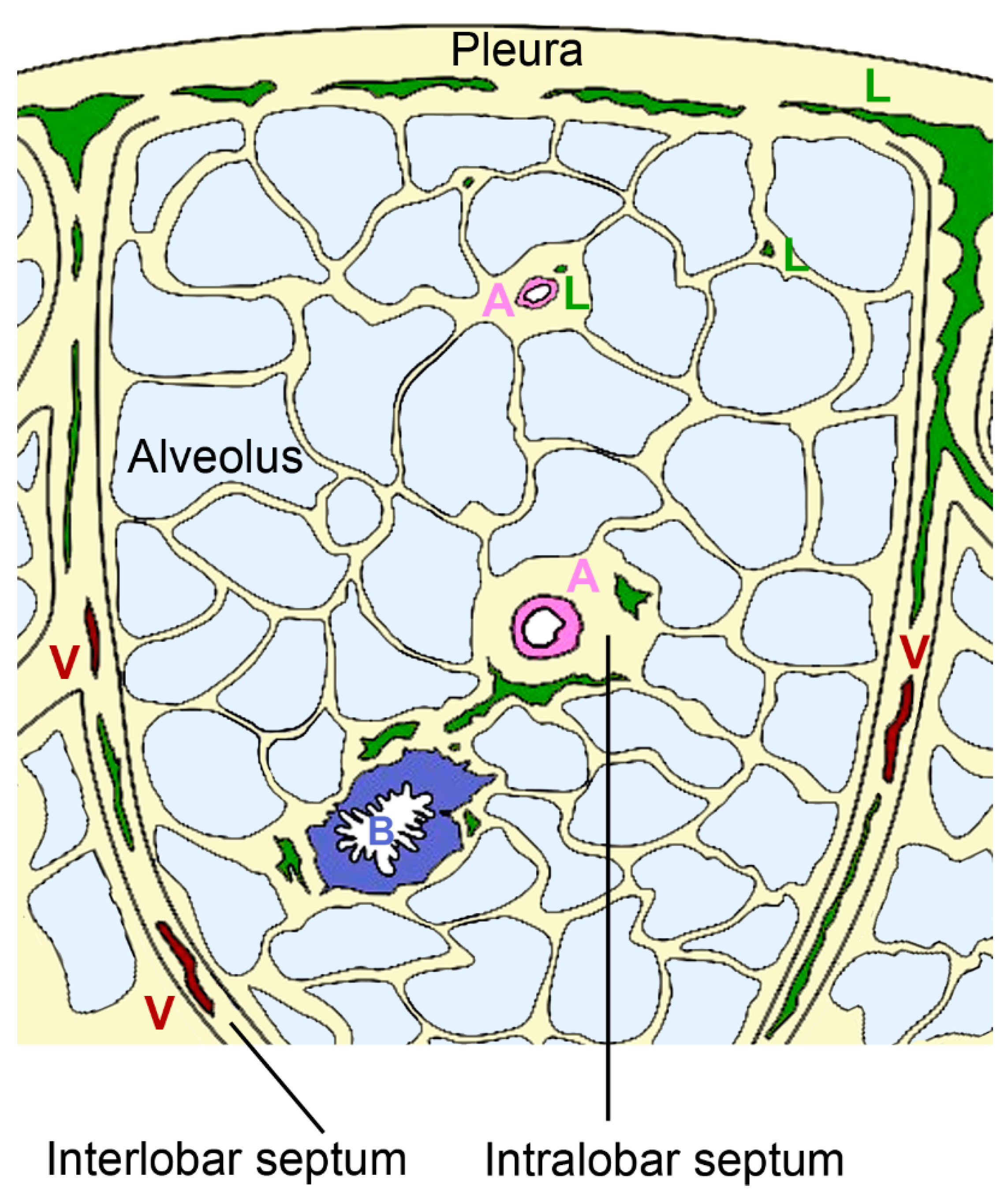 Biomedicines 09 01732 g004 550