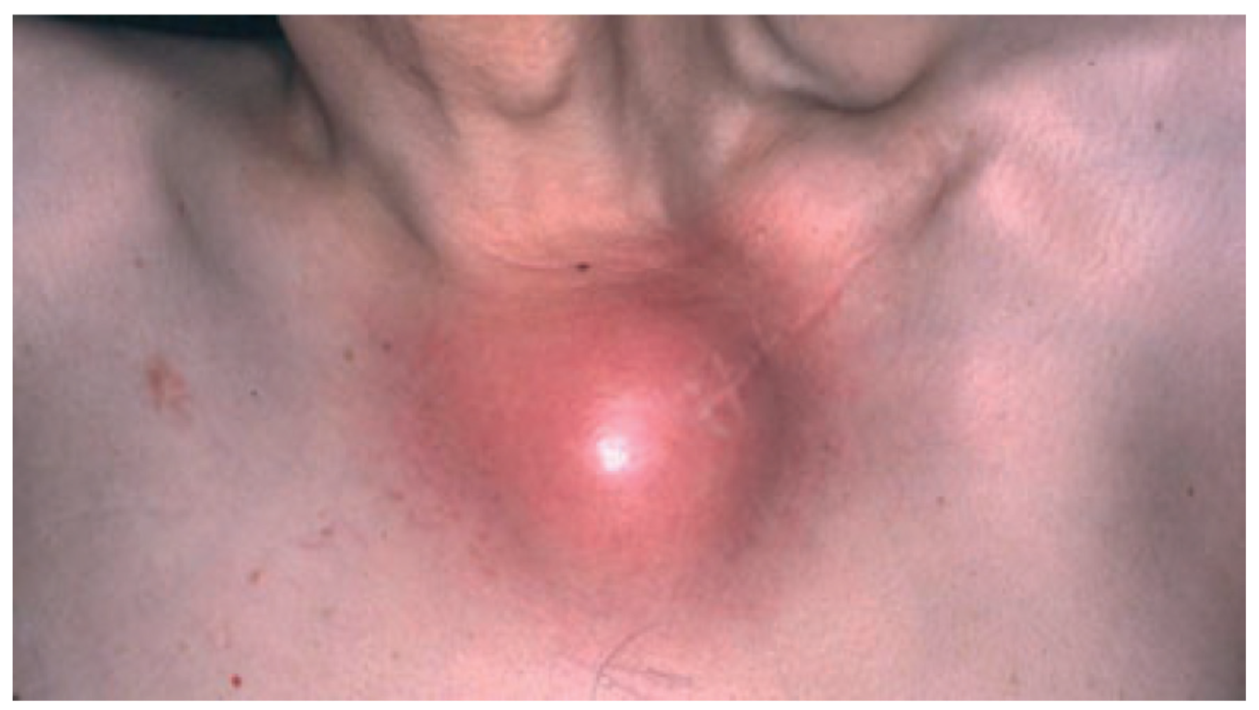 Biomedicines 09 01735 g005 Biomedicines 09 01735 g005