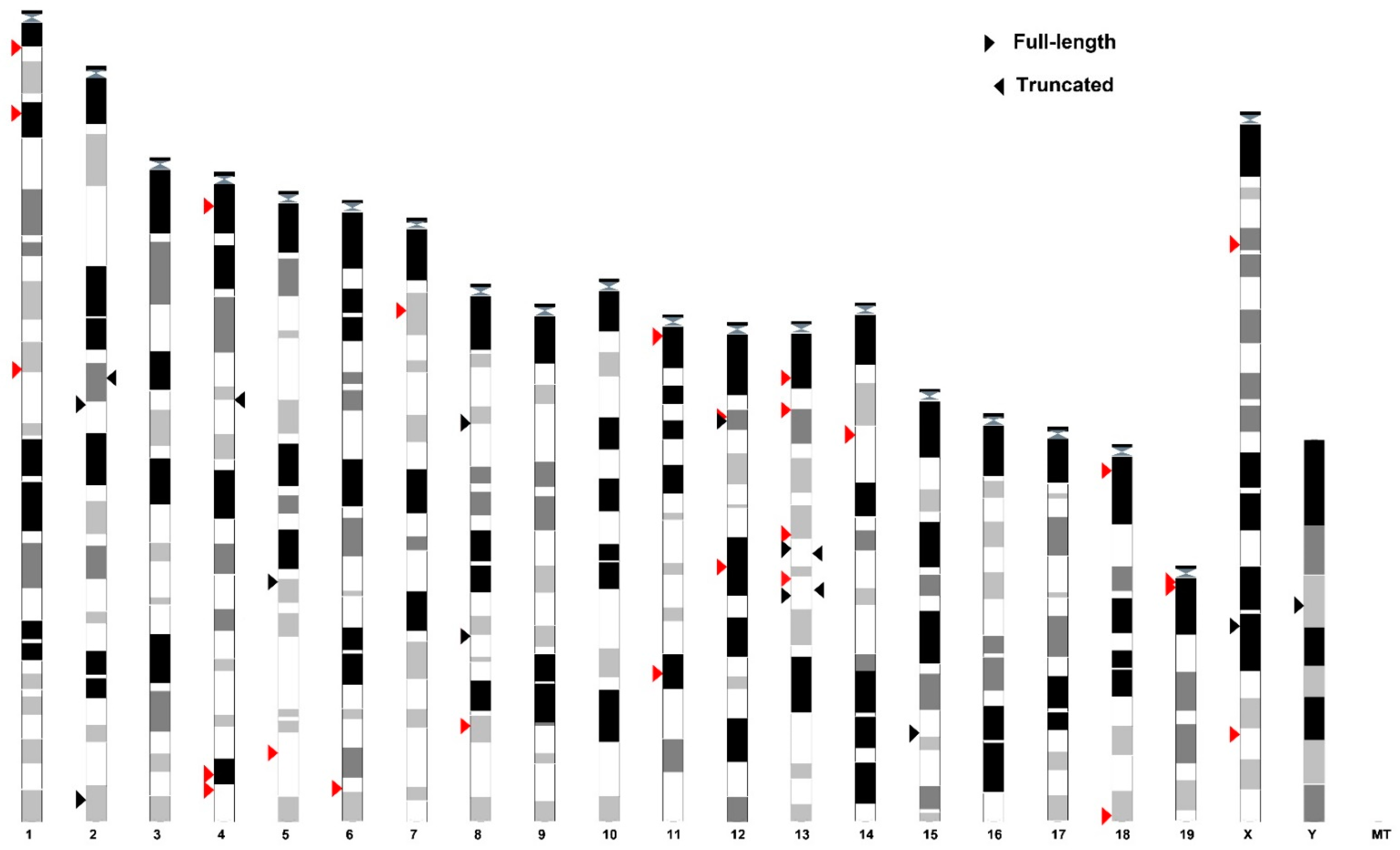 Biomedicines 09 01742 g001