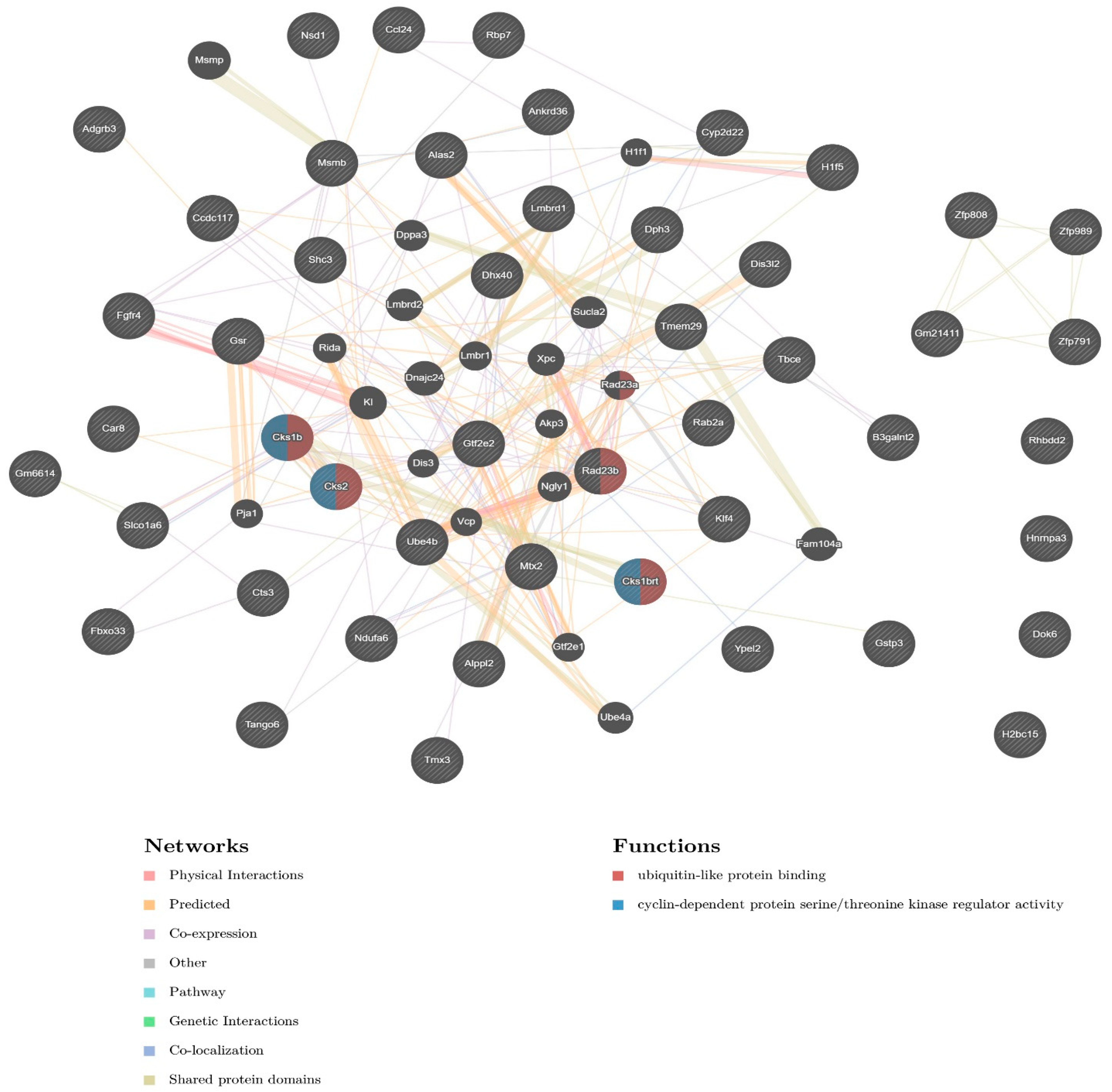 Biomedicines 09 01742 g004