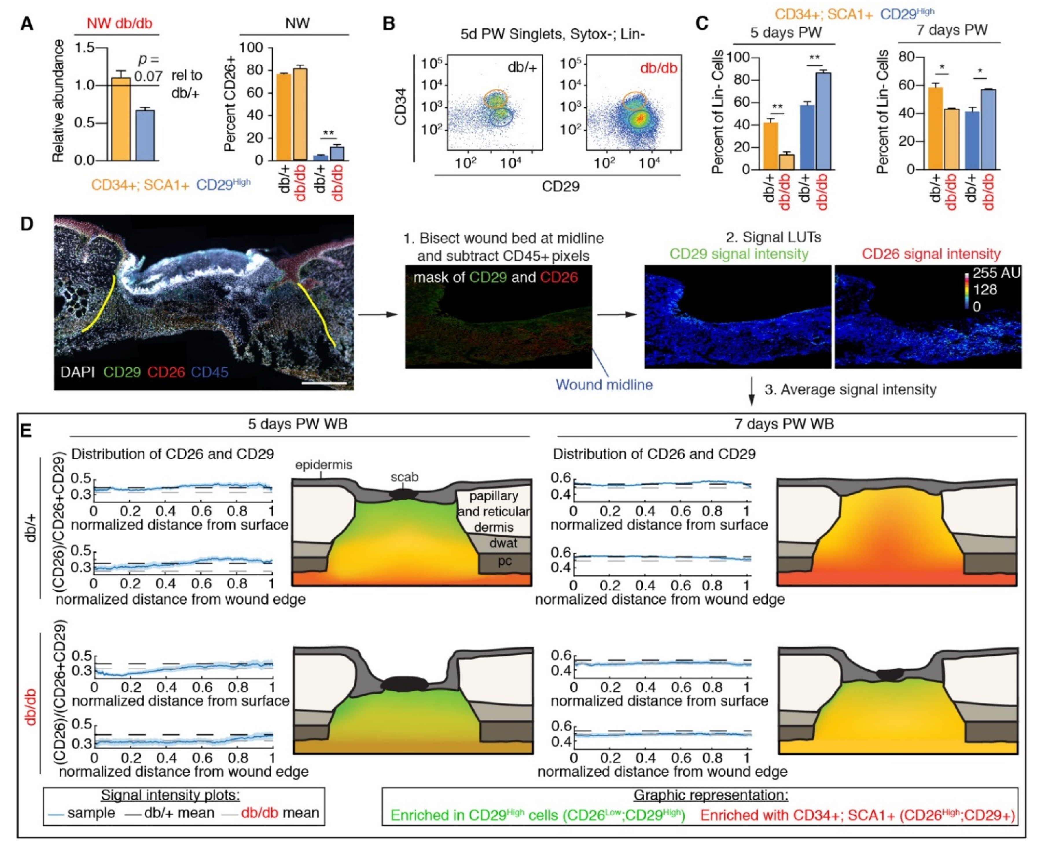 Biomedicines 09 01752 g002