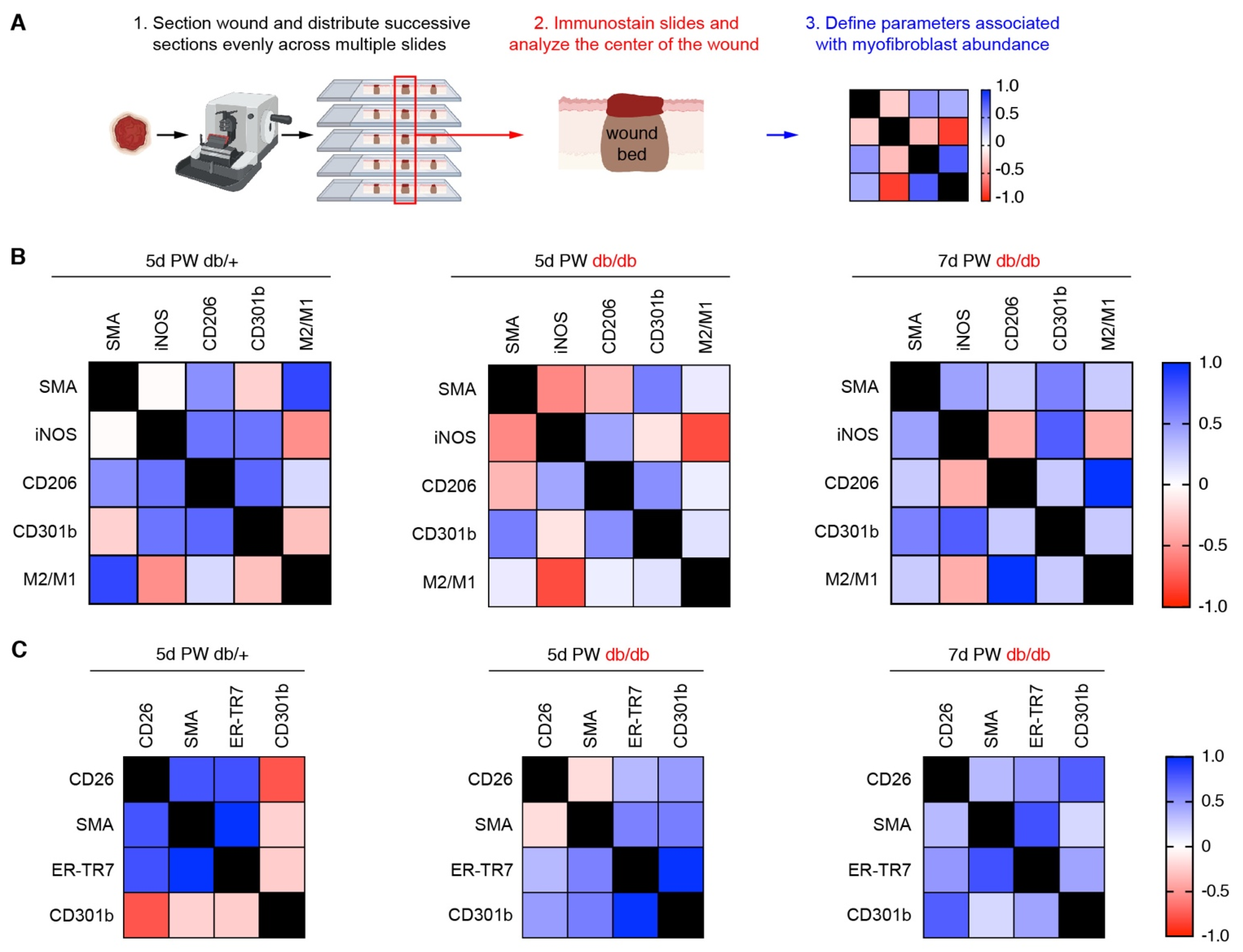 Biomedicines 09 01752 g005