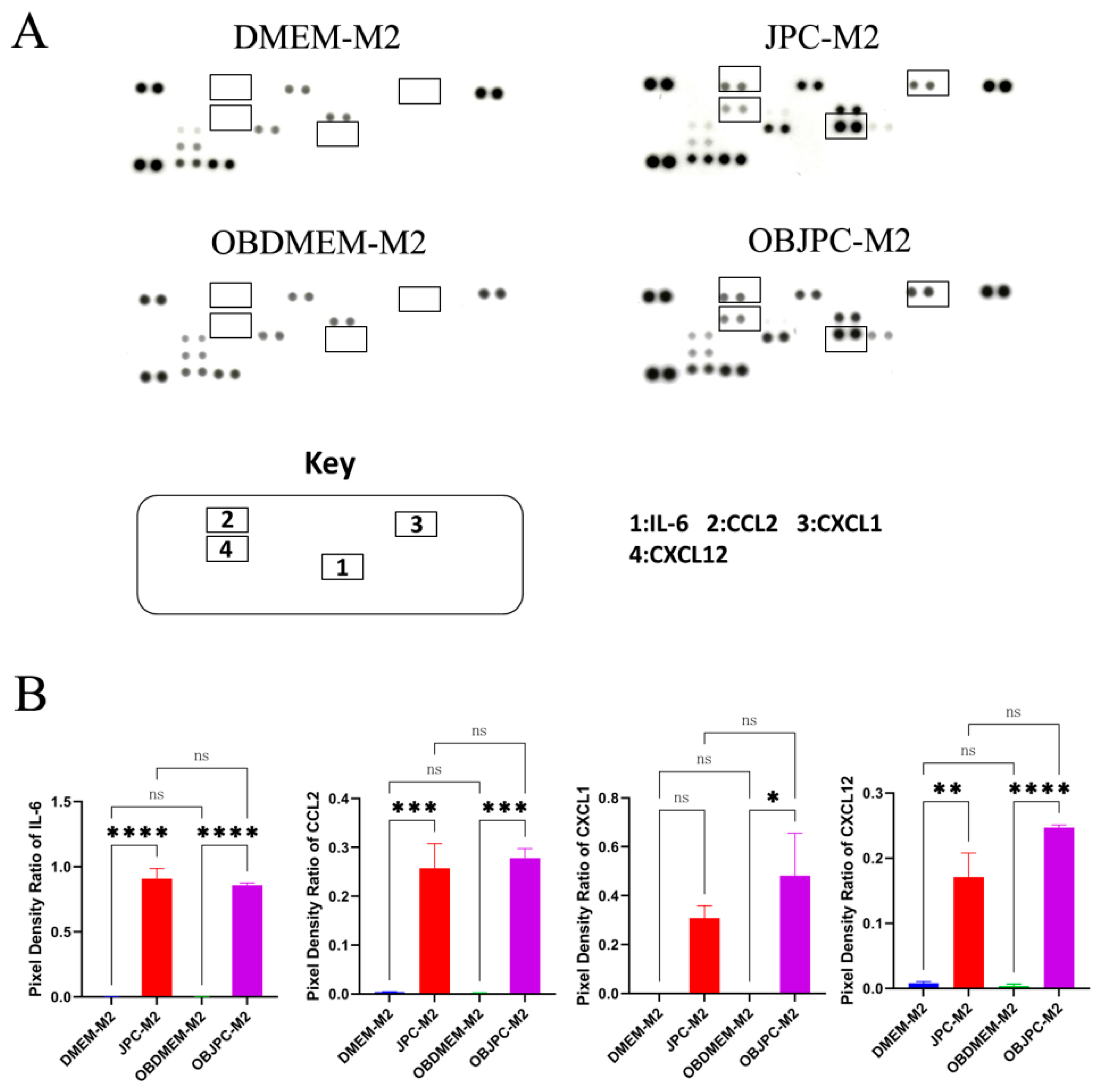 Biomedicines 09 01753 g006 550