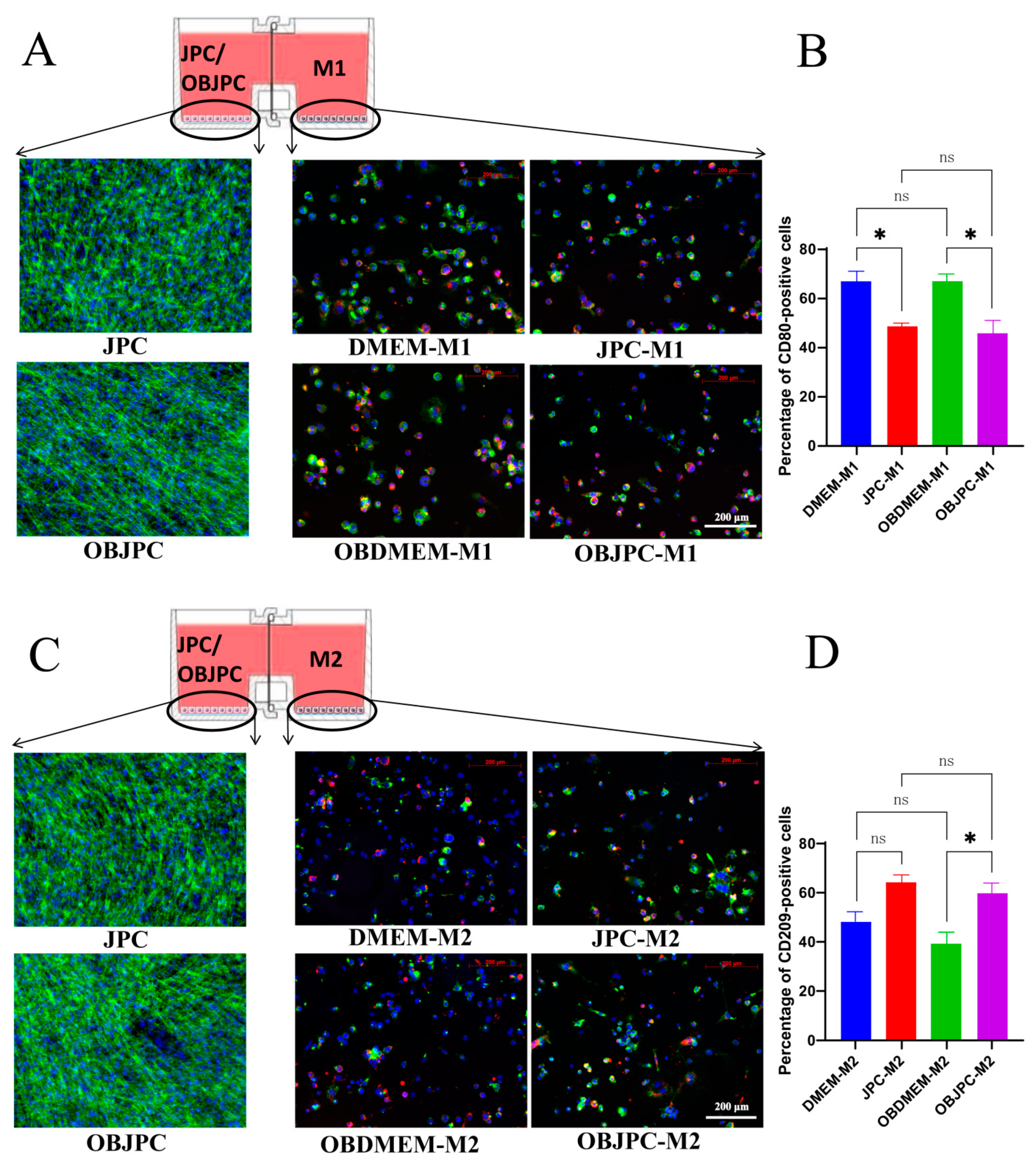 Biomedicines 09 01753 g007 550