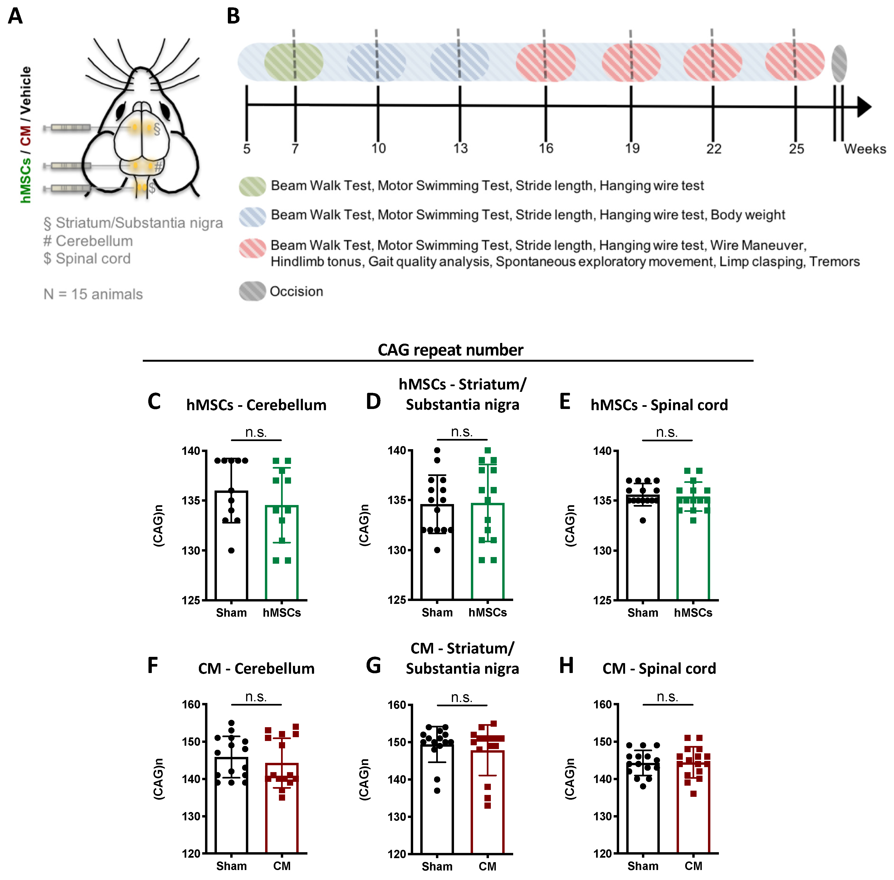 Biomedicines 09 01754 g001 550