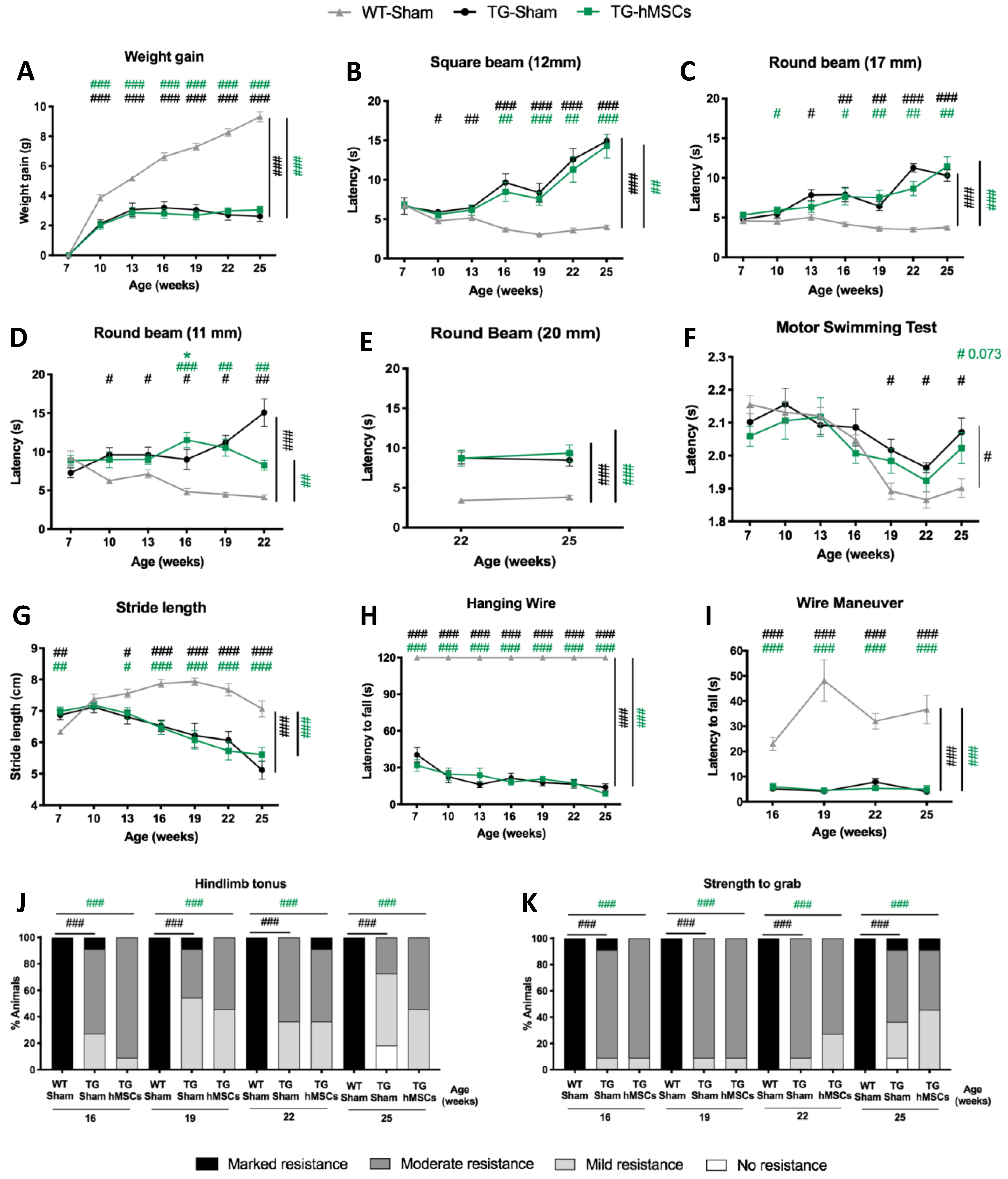 Biomedicines 09 01754 g003 550