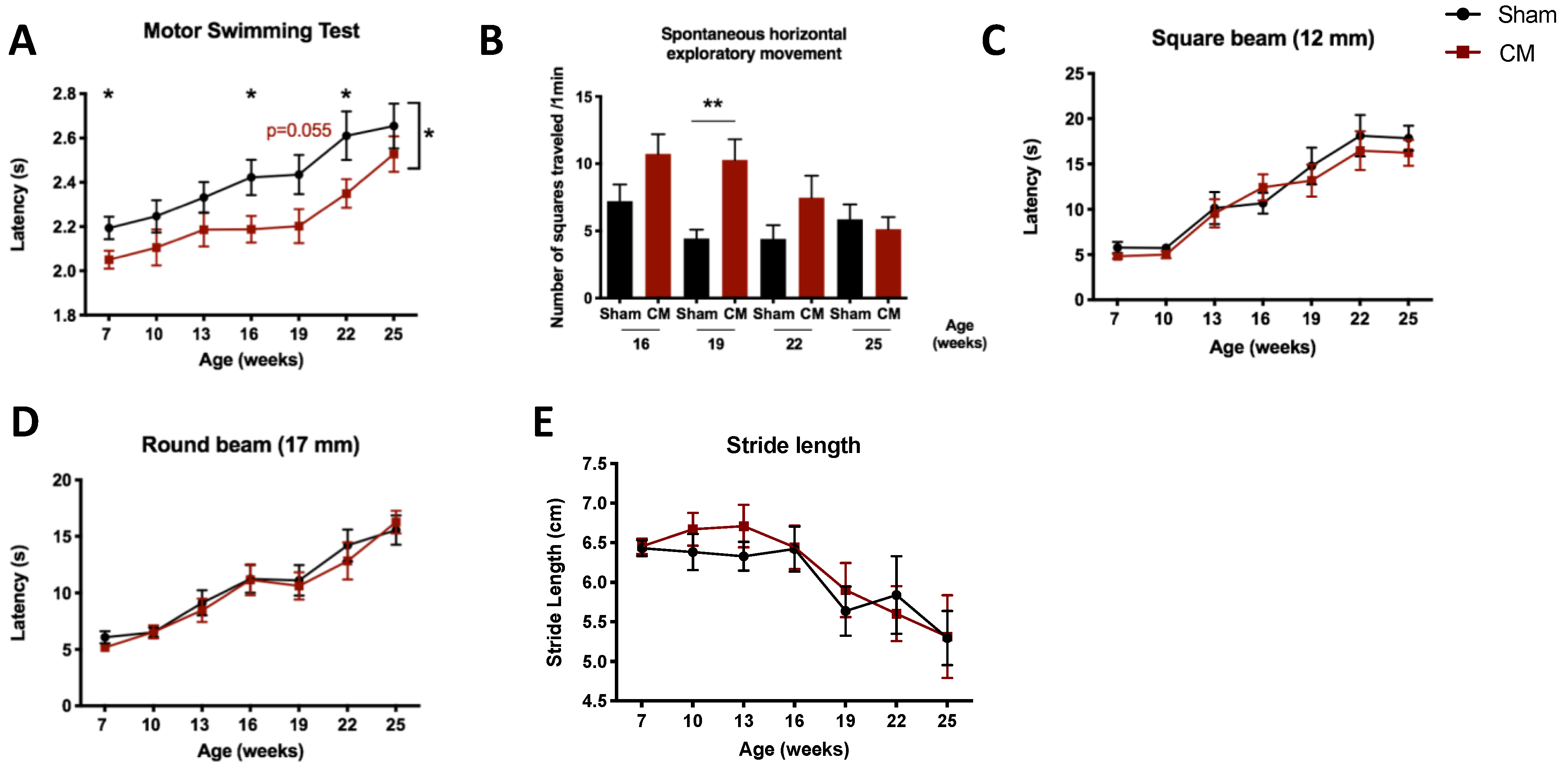 Biomedicines 09 01754 g004 550