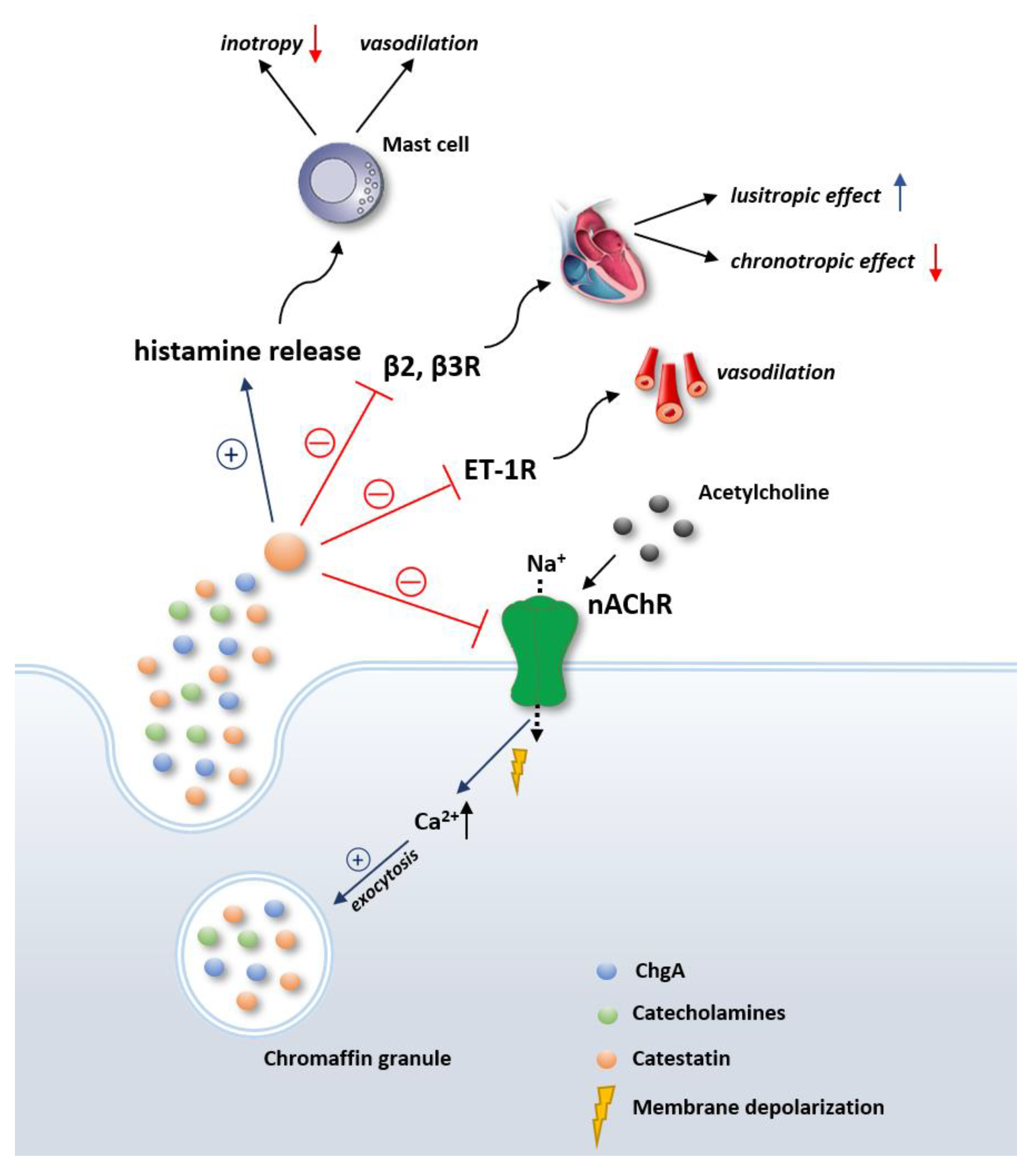 Biomedicines 09 01757 g001
