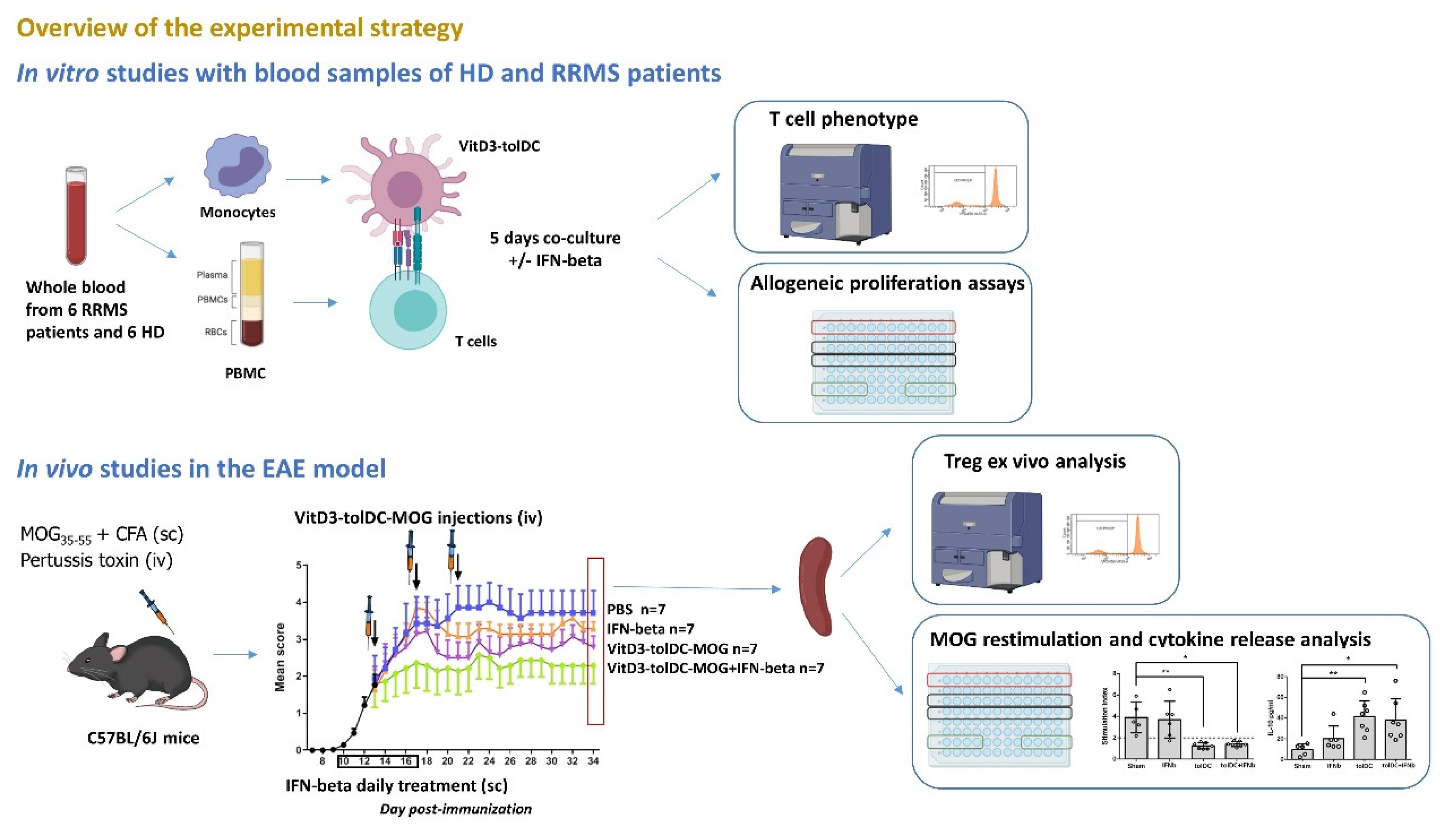 Biomedicines 09 01758 g001
