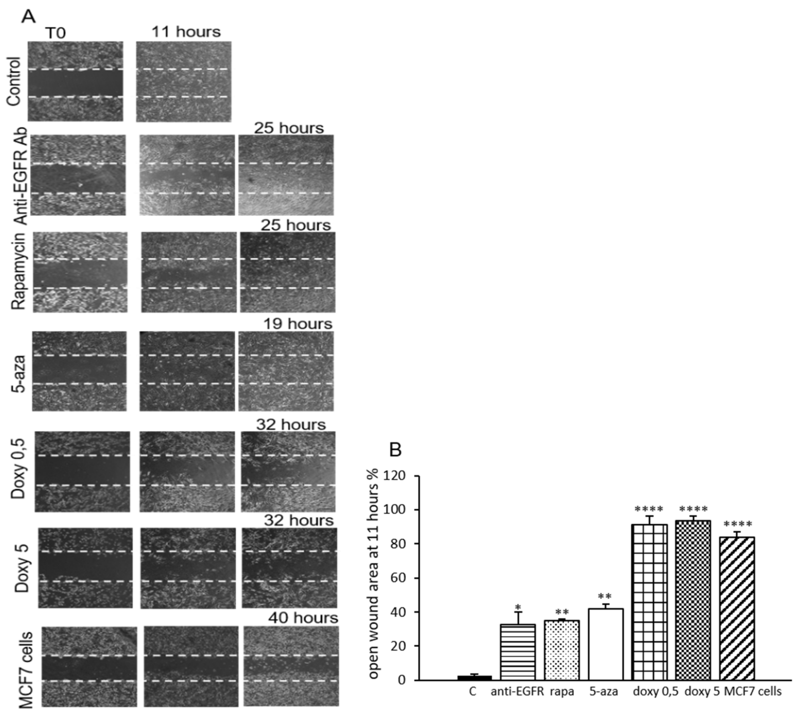 Biomedicines 09 01760 g004 Biomedicines 09 01760 g004