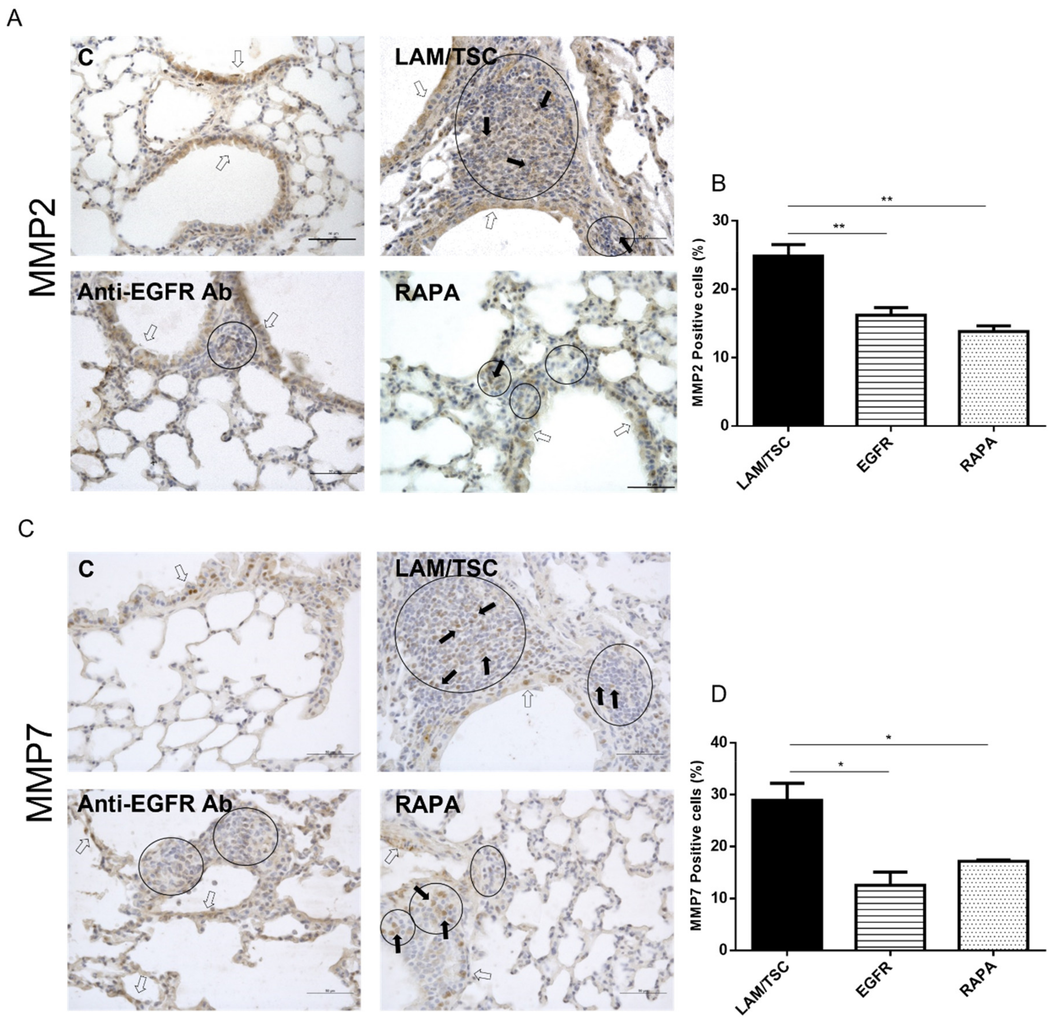Biomedicines 09 01760 g007 Biomedicines 09 01760 g007
