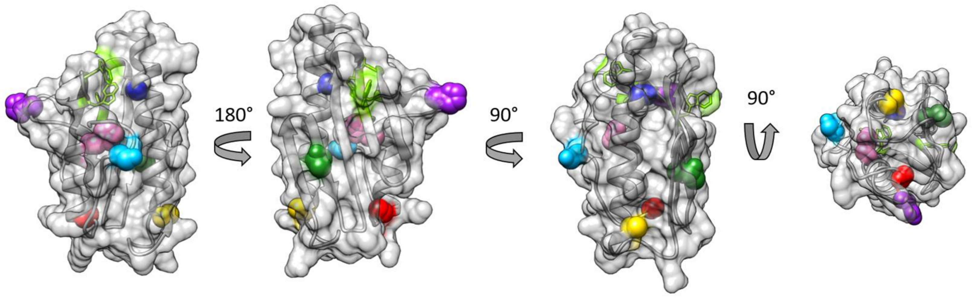 Biomedicines 09 01763 g001
