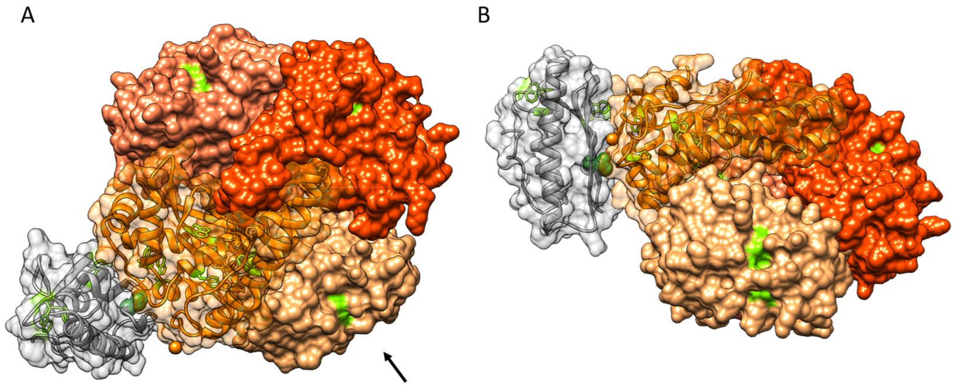 Biomedicines 09 01763 g006