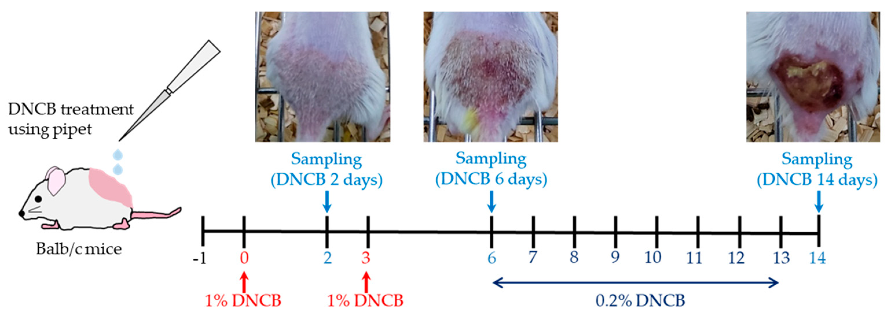 Biomedicines 09 01764 g001