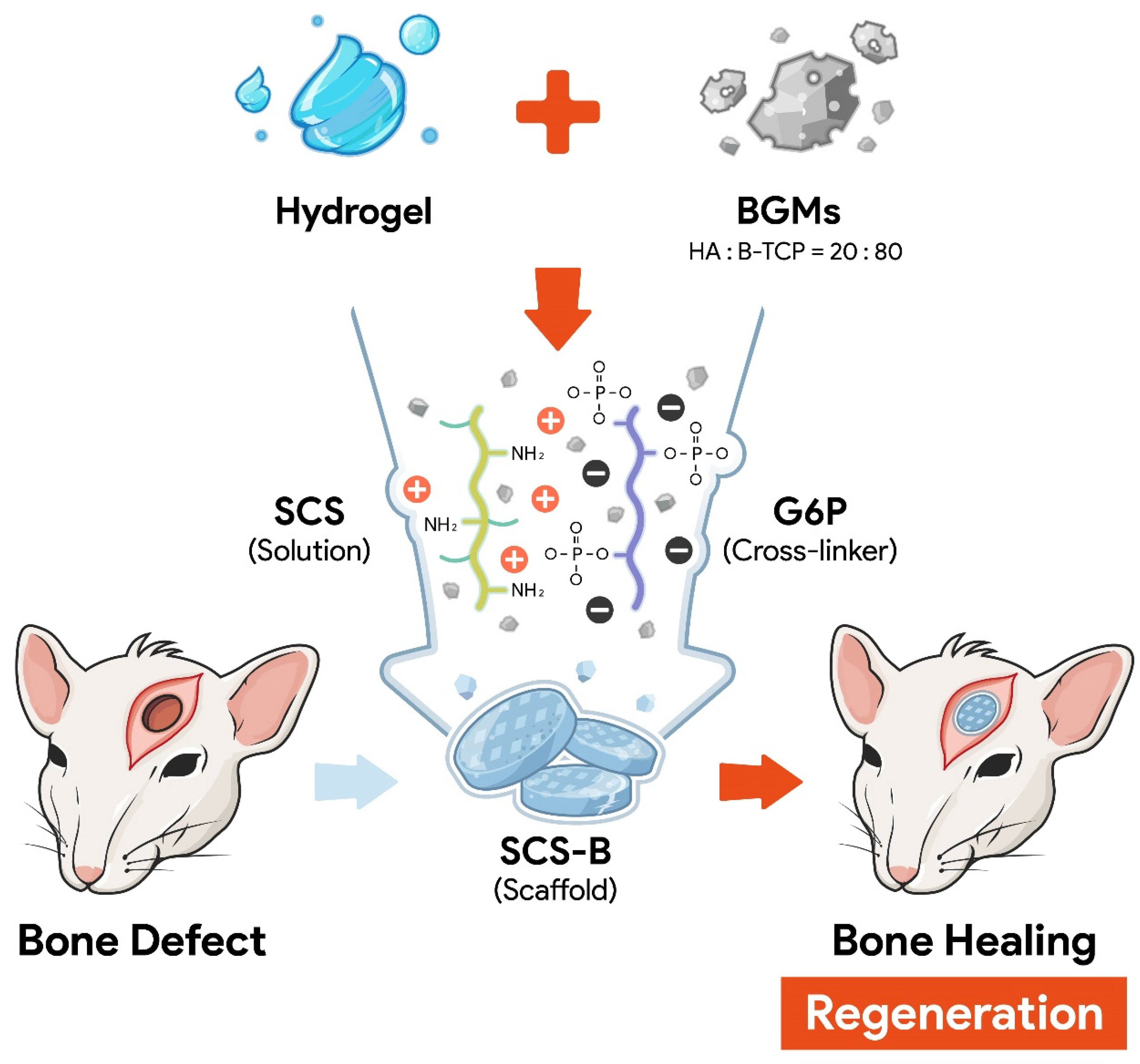 Biomedicines 09 01765 g001