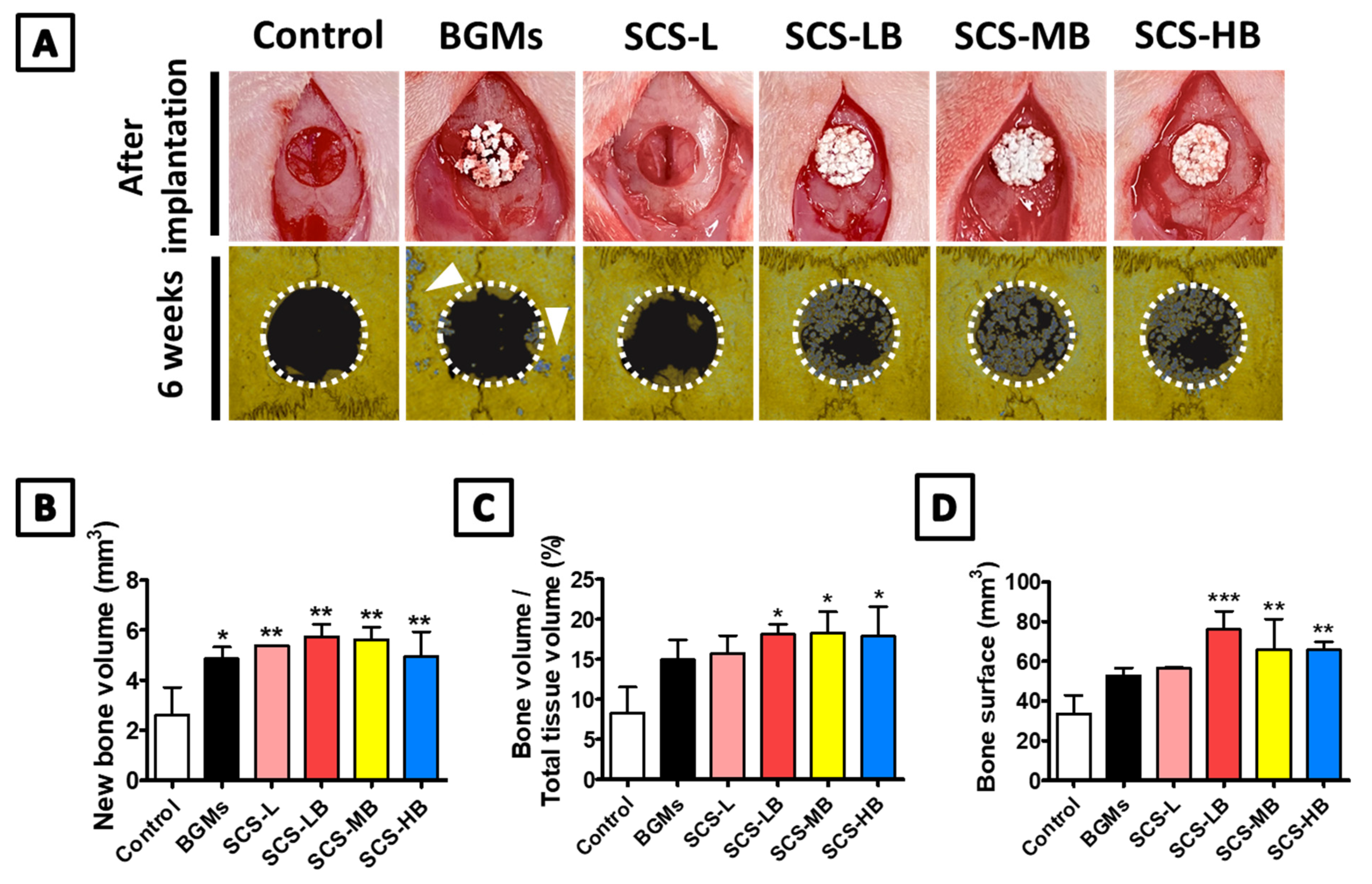 Biomedicines 09 01765 g008
