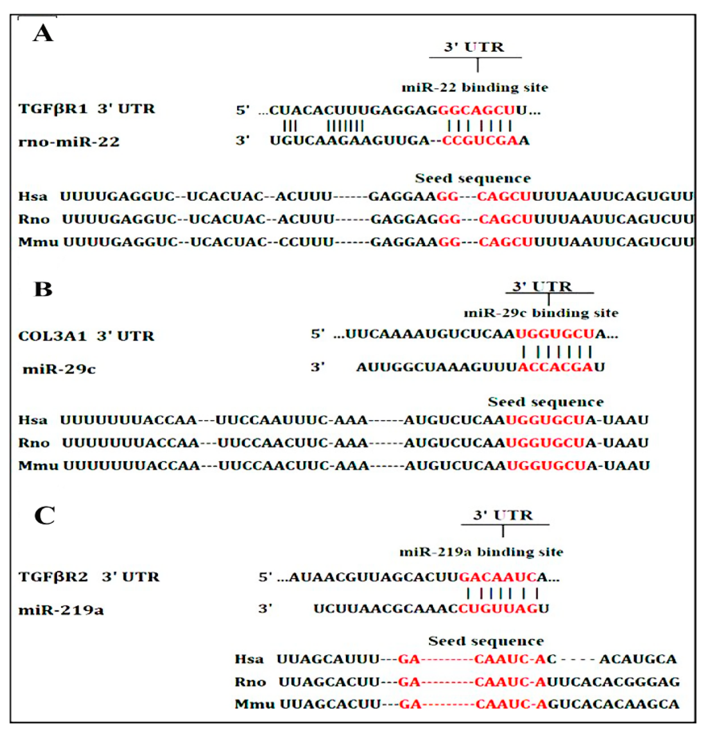 Biomedicines 09 01767 g008 550