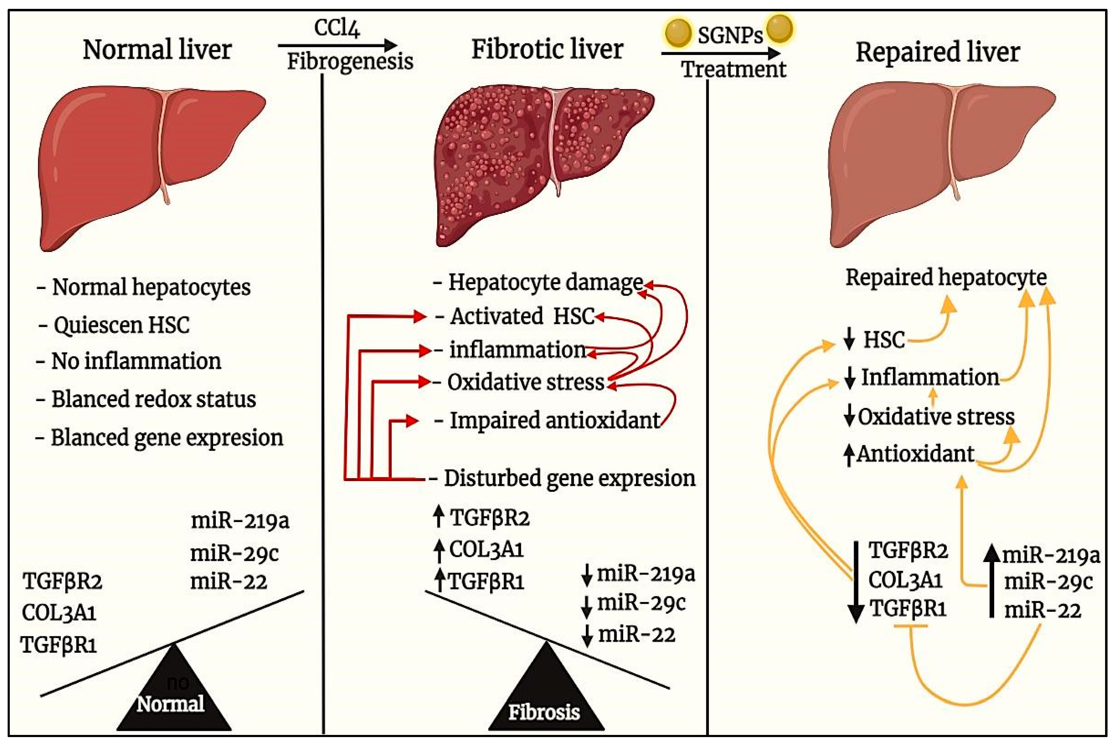 Biomedicines 09 01767 g014 550