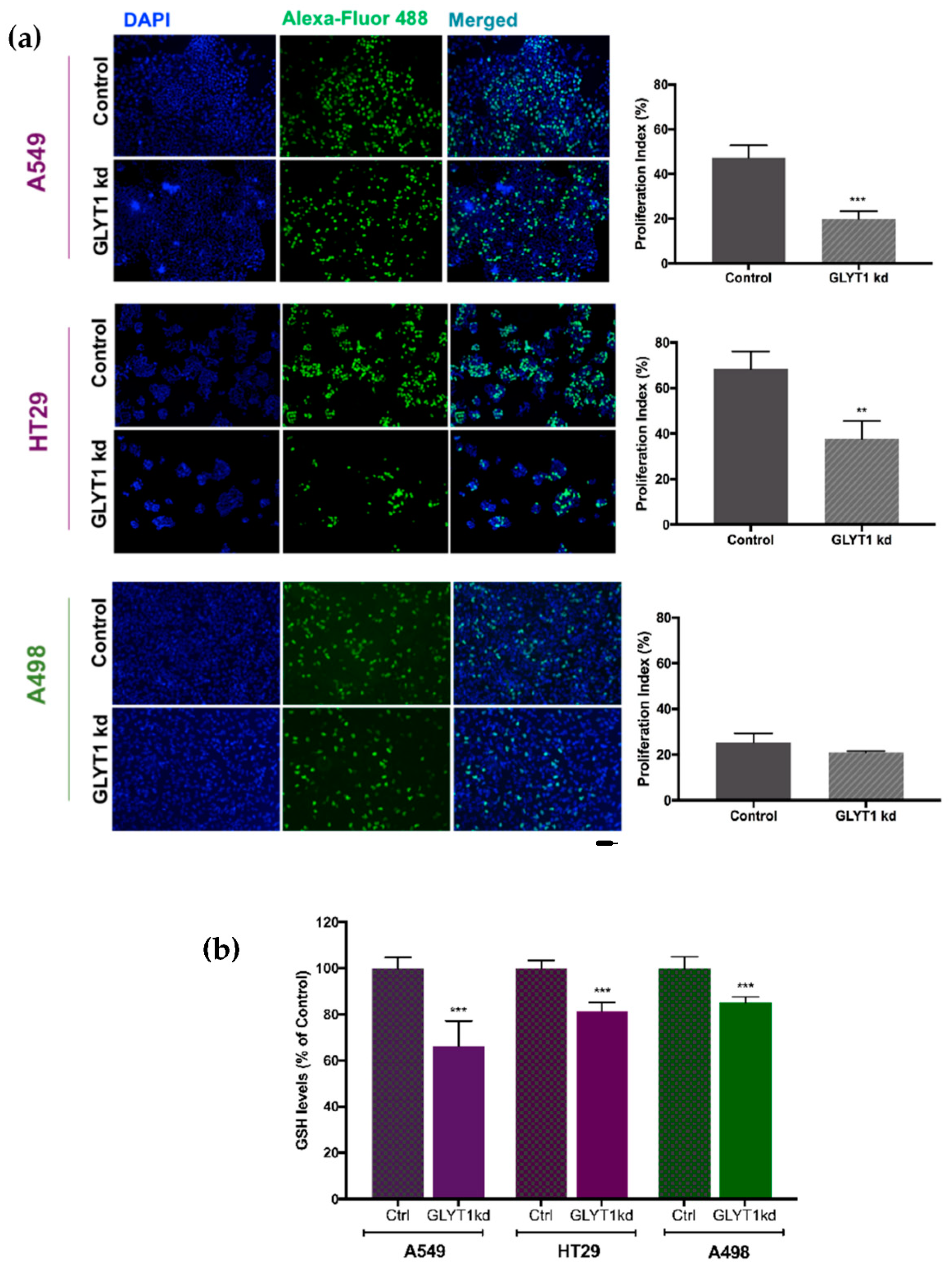 Biomedicines 09 01770 g003 Biomedicines 09 01770 g003
