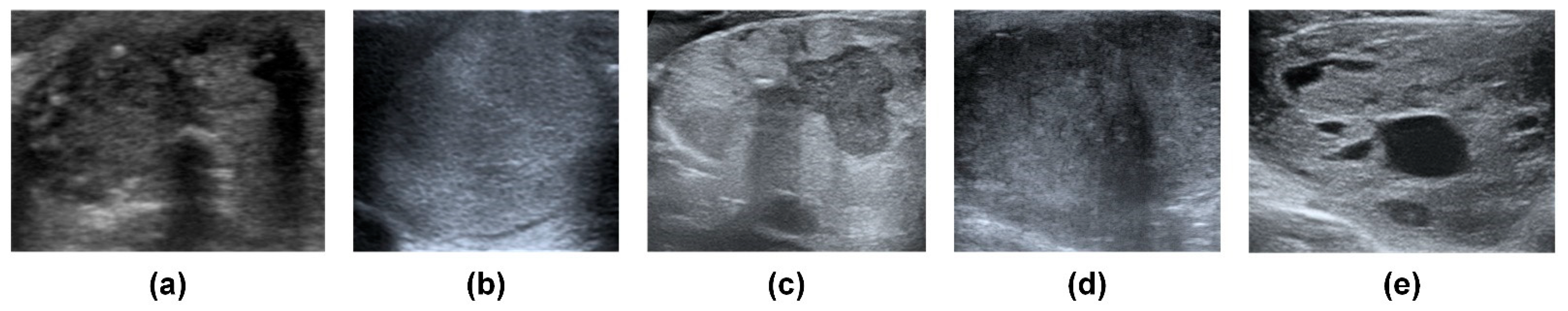 Biomedicines 09 01771 g001