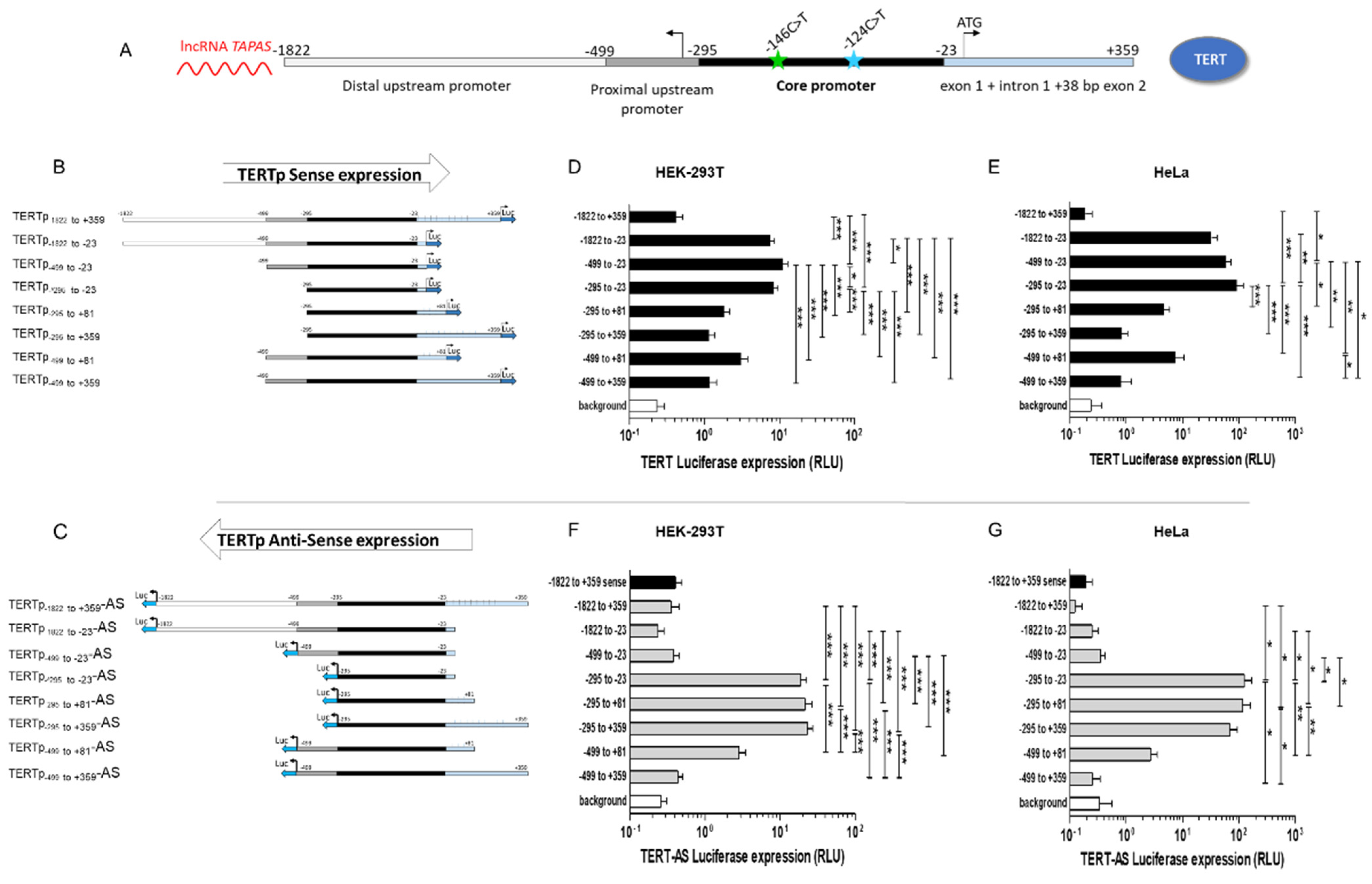 Biomedicines 09 01773 g001 Biomedicines 09 01773 g001
