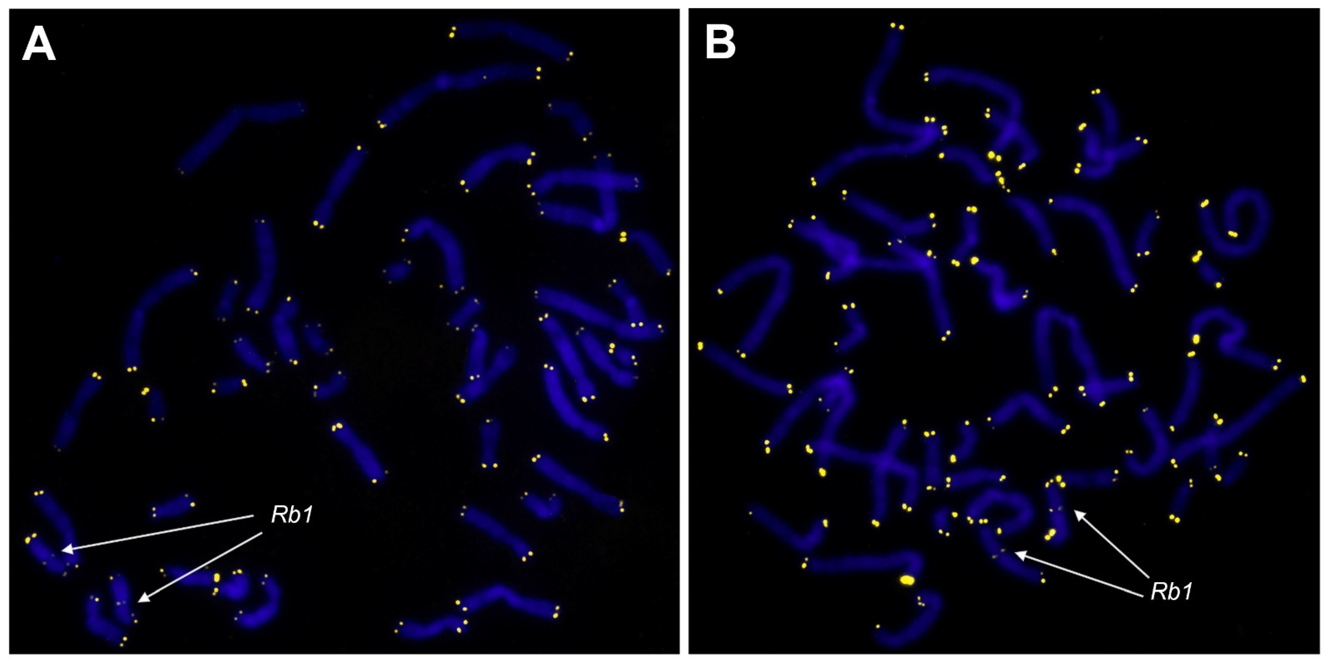Biomedicines 09 01777 g004 Biomedicines 09 01777 g004