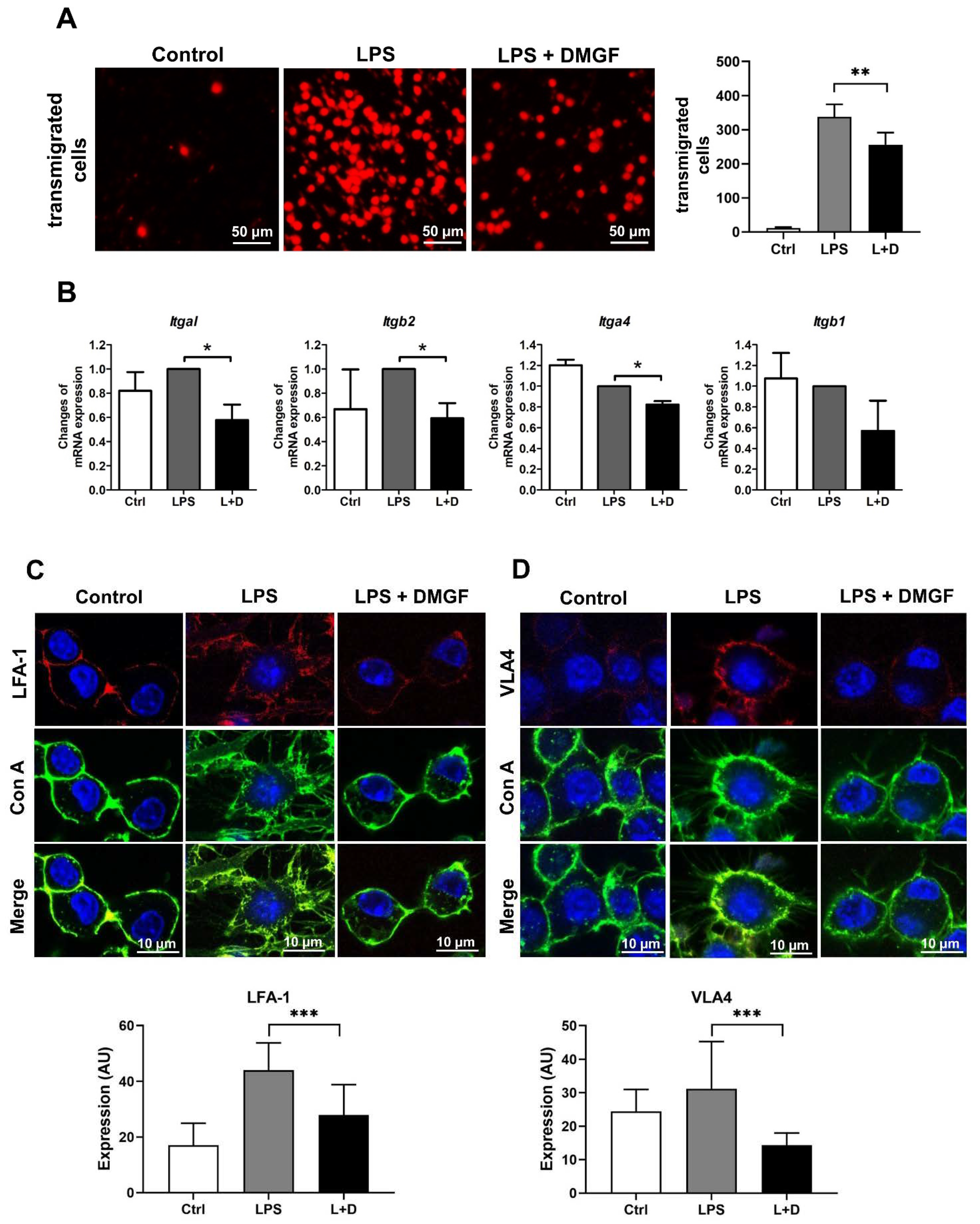 Biomedicines 09 01778 g002 550
