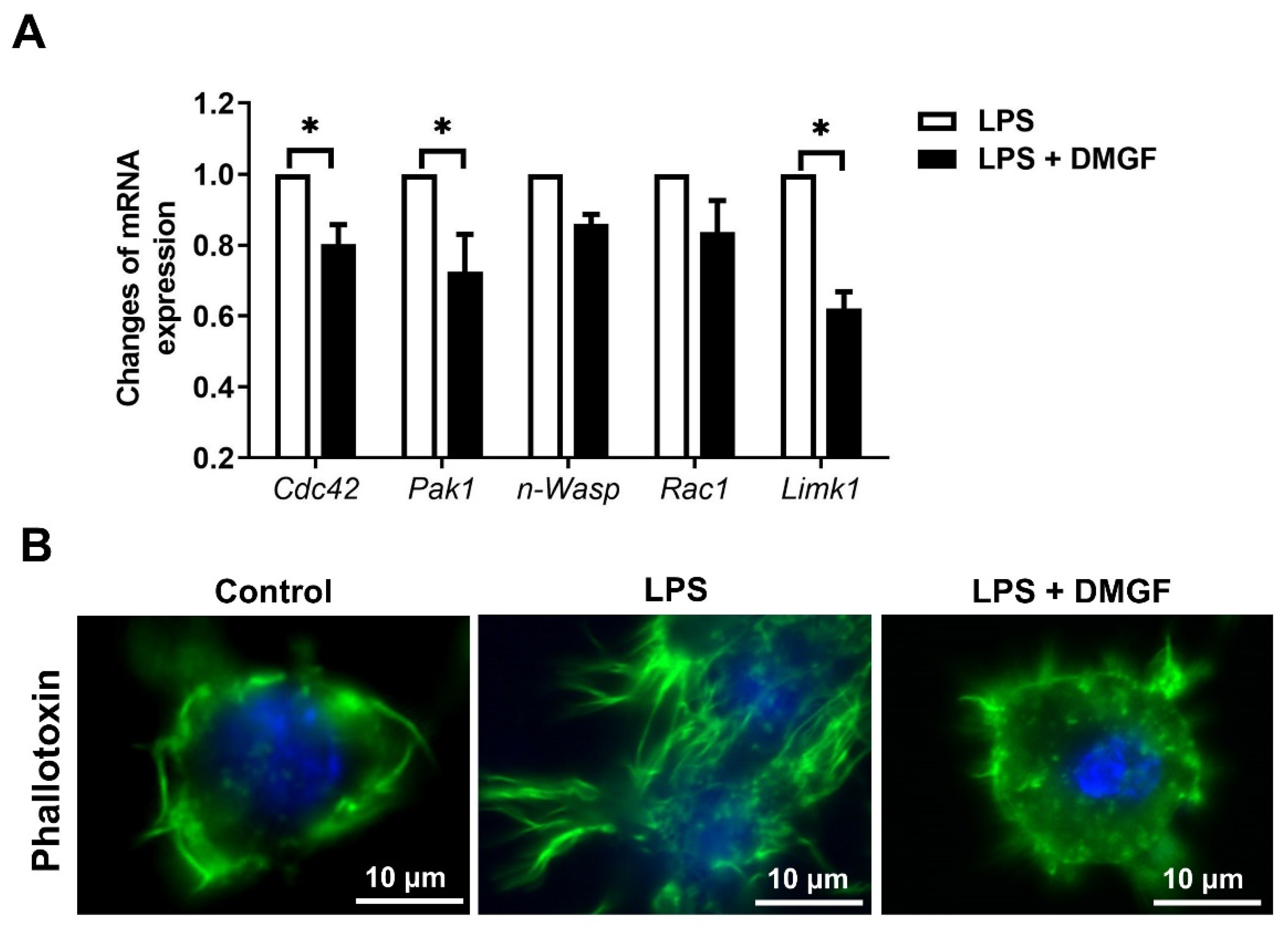 Biomedicines 09 01778 g003 550
