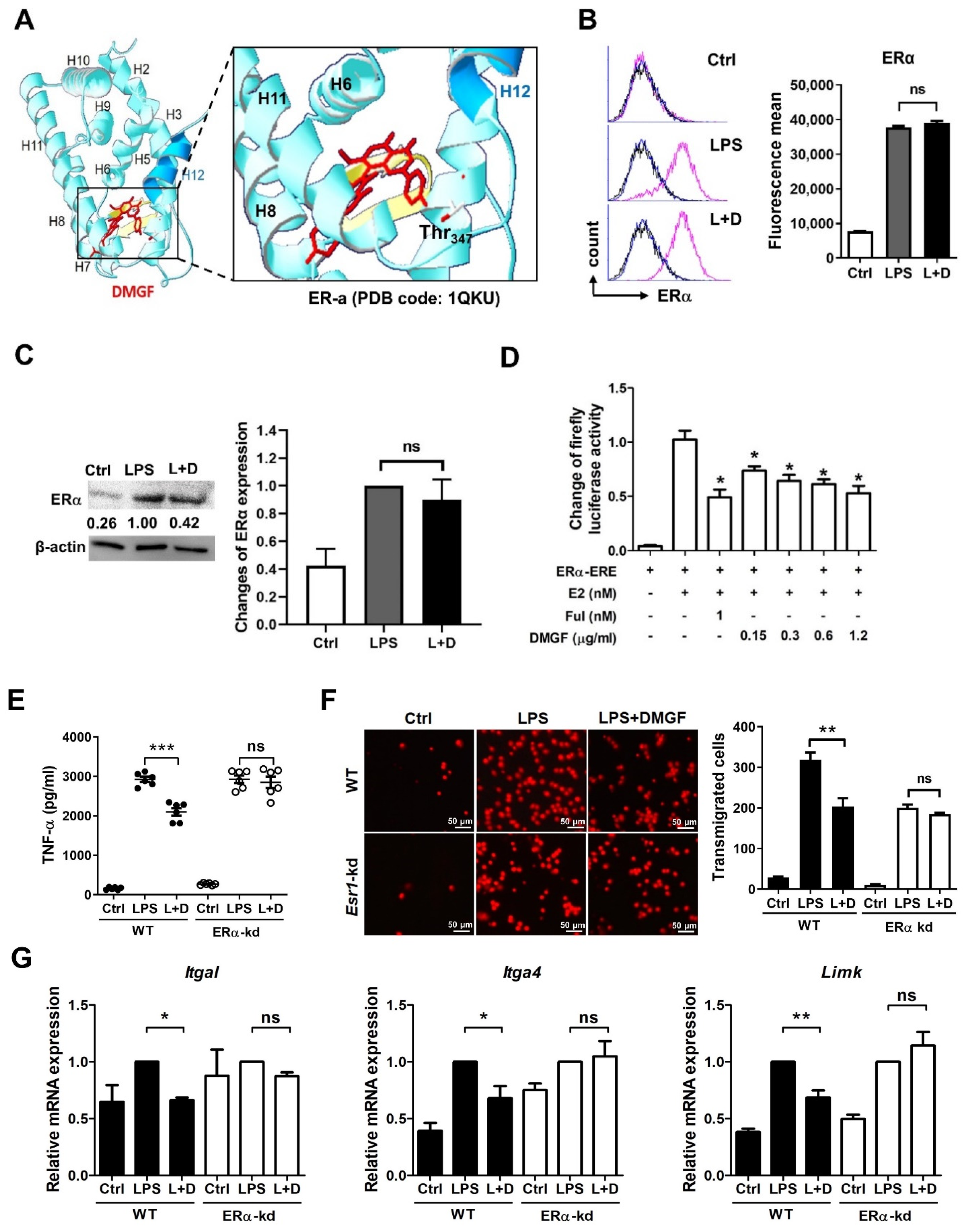 Biomedicines 09 01778 g005 550