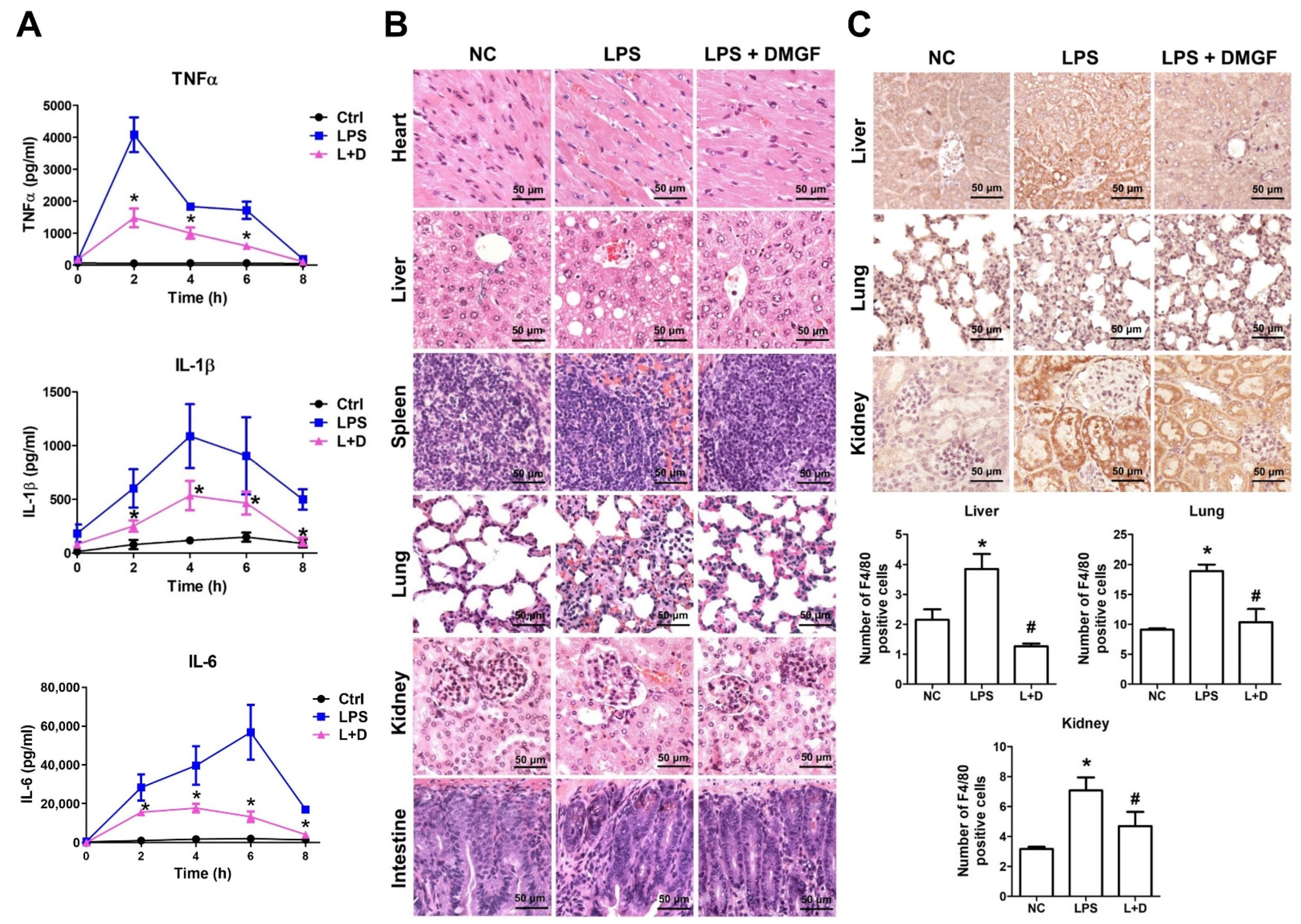 Biomedicines 09 01778 g006 550