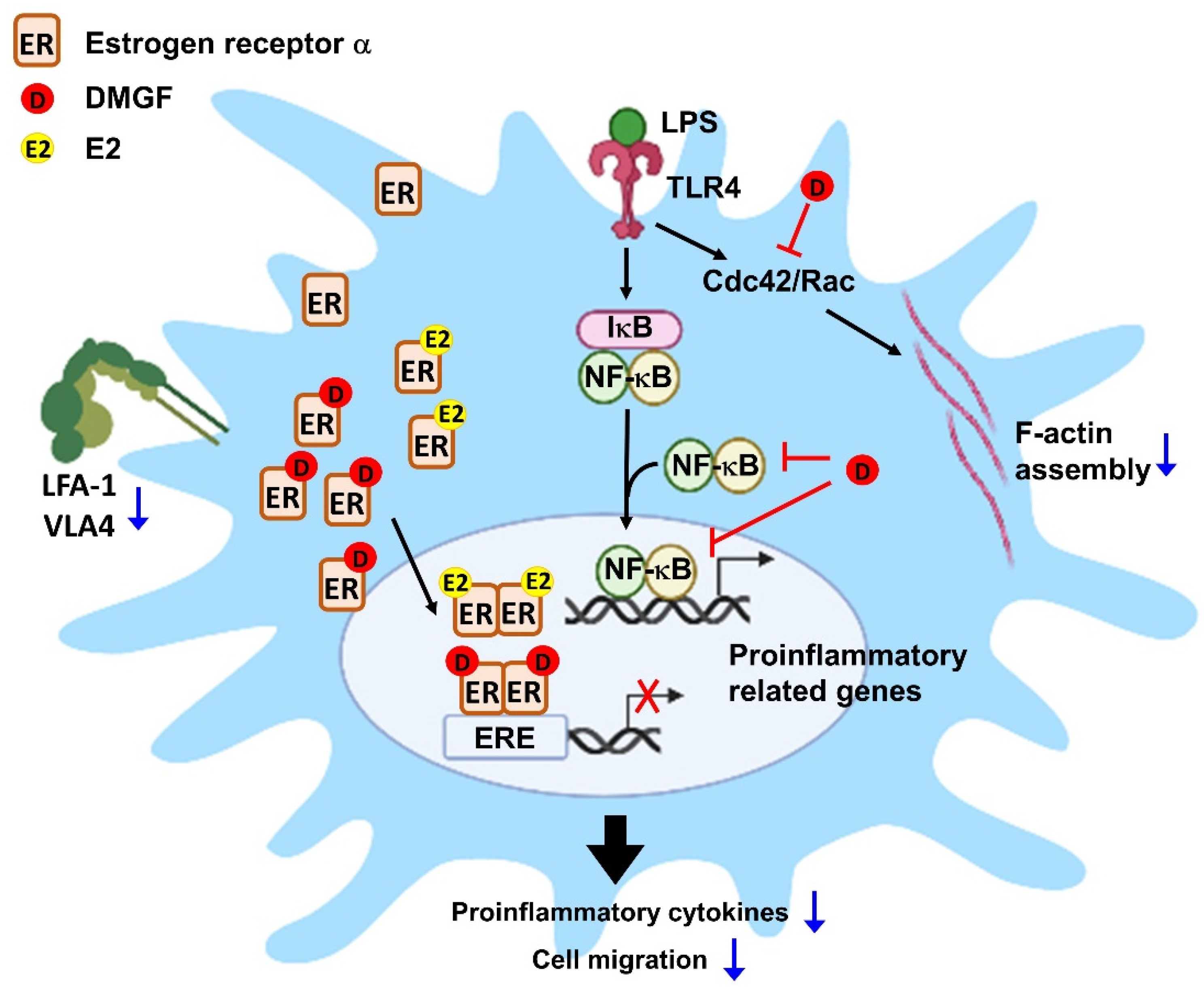 Biomedicines 09 01778 g007 550
