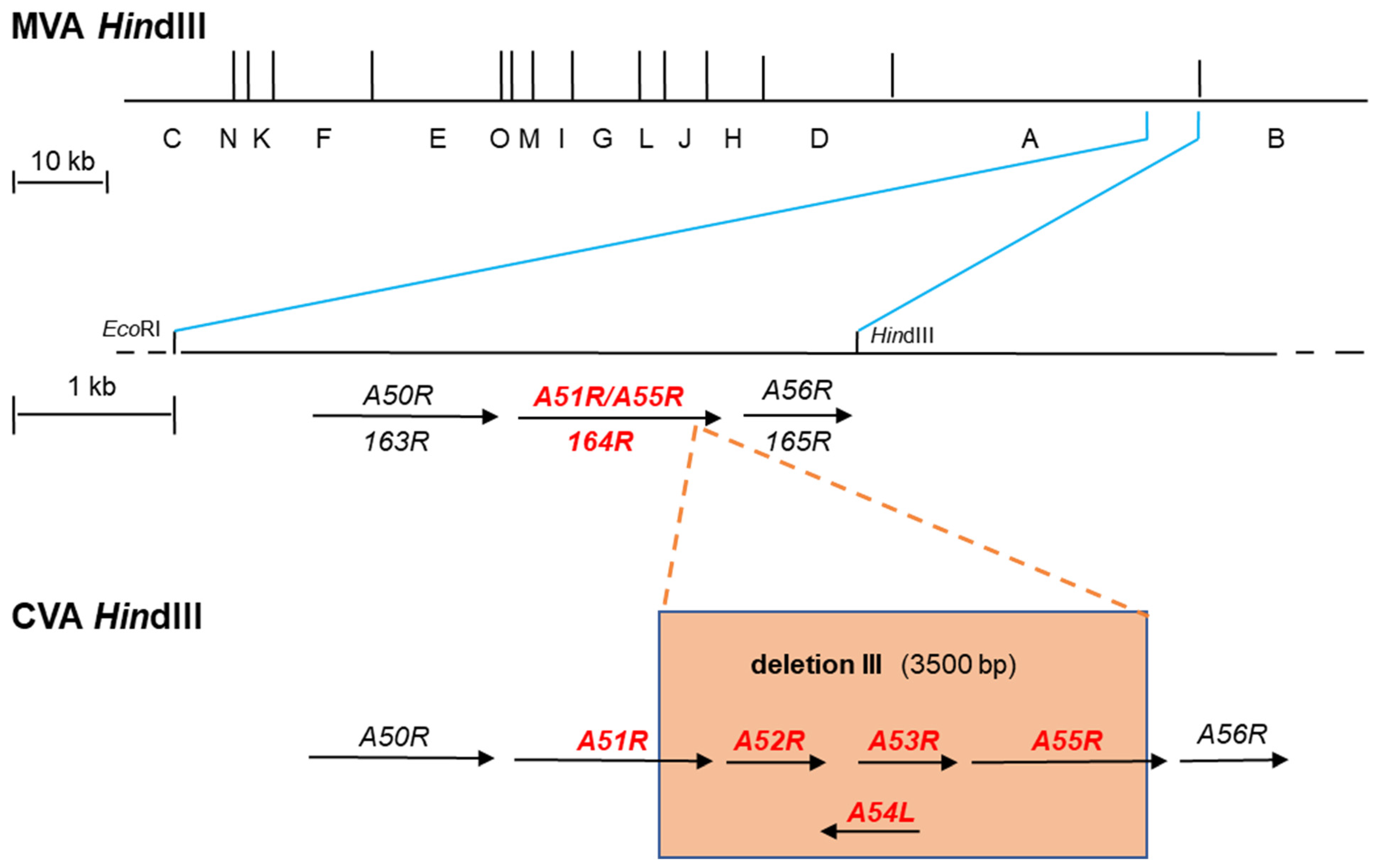 Biomedicines 09 01780 g001