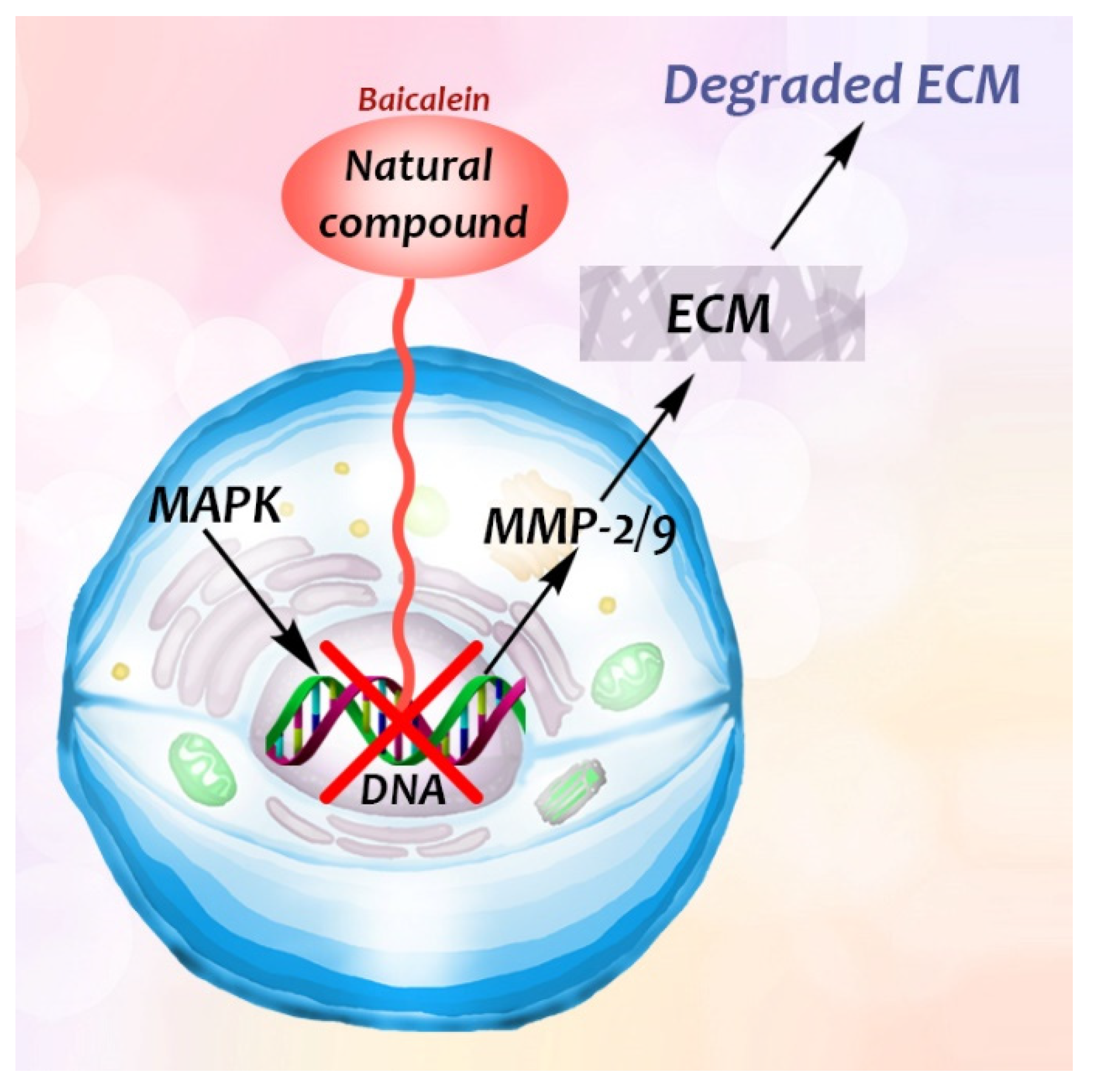 Biomedicines 09 01781 g005 Biomedicines 09 01781 g005