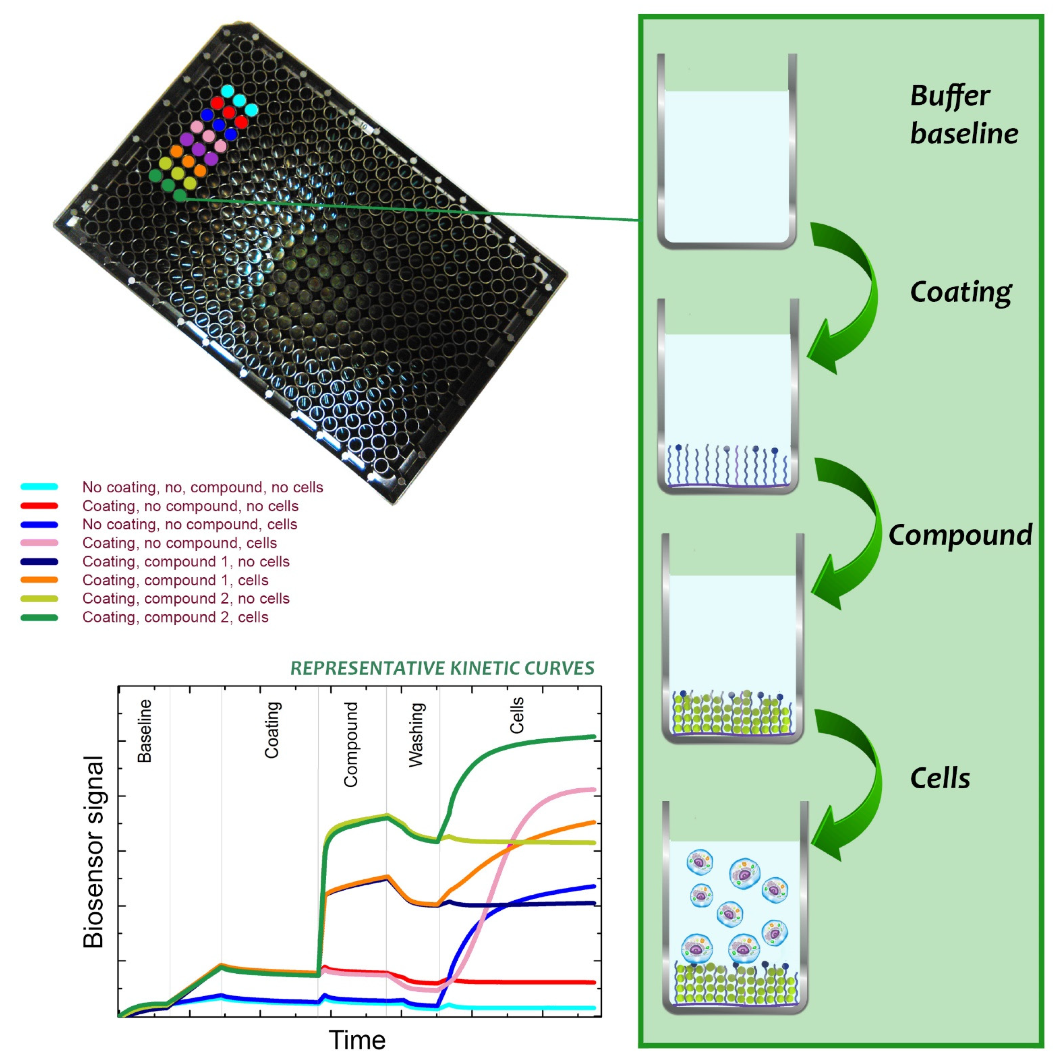 Biomedicines 09 01781 g007 Biomedicines 09 01781 g007