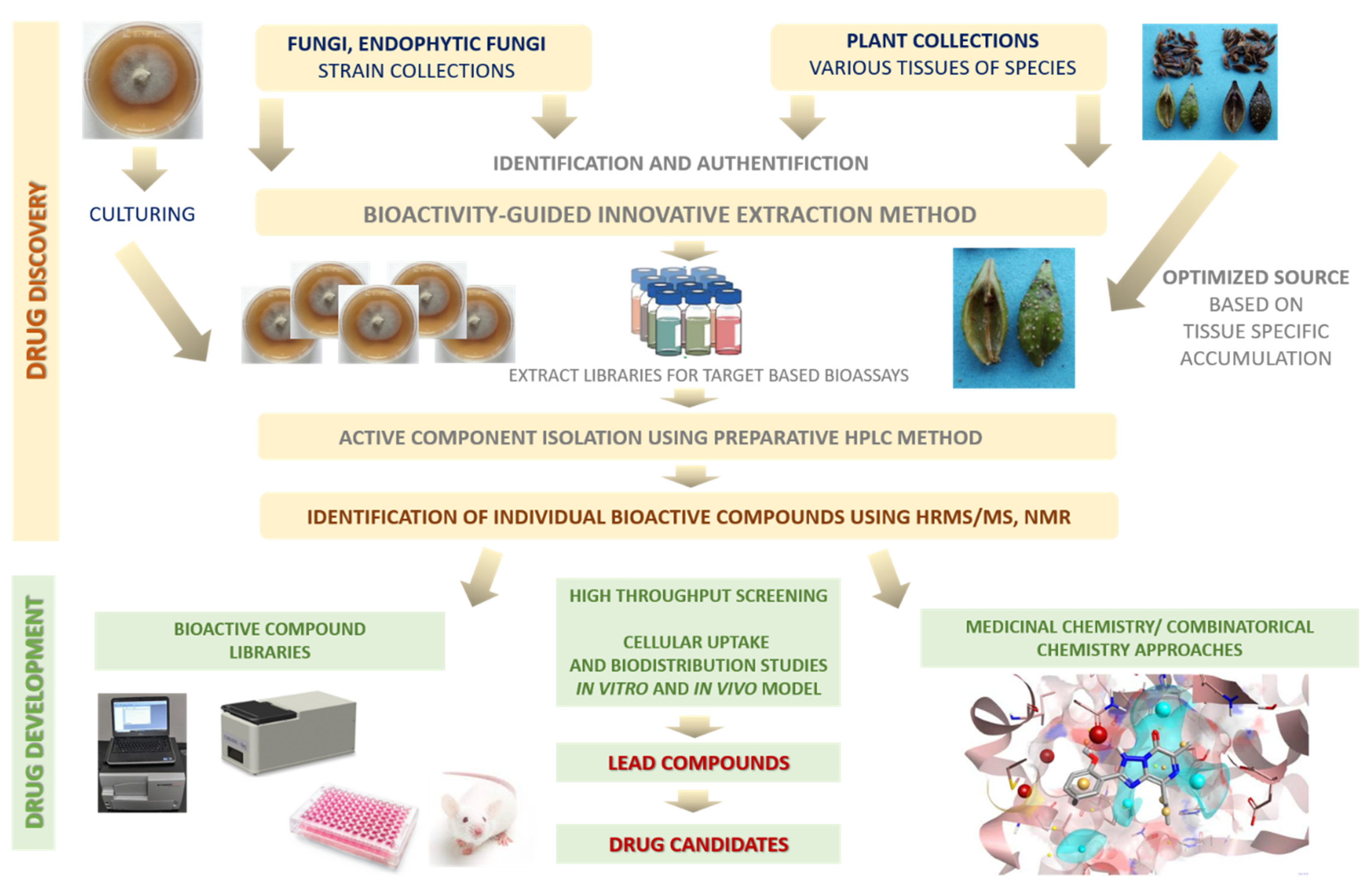 Biomedicines 09 01781 g008 Biomedicines 09 01781 g008