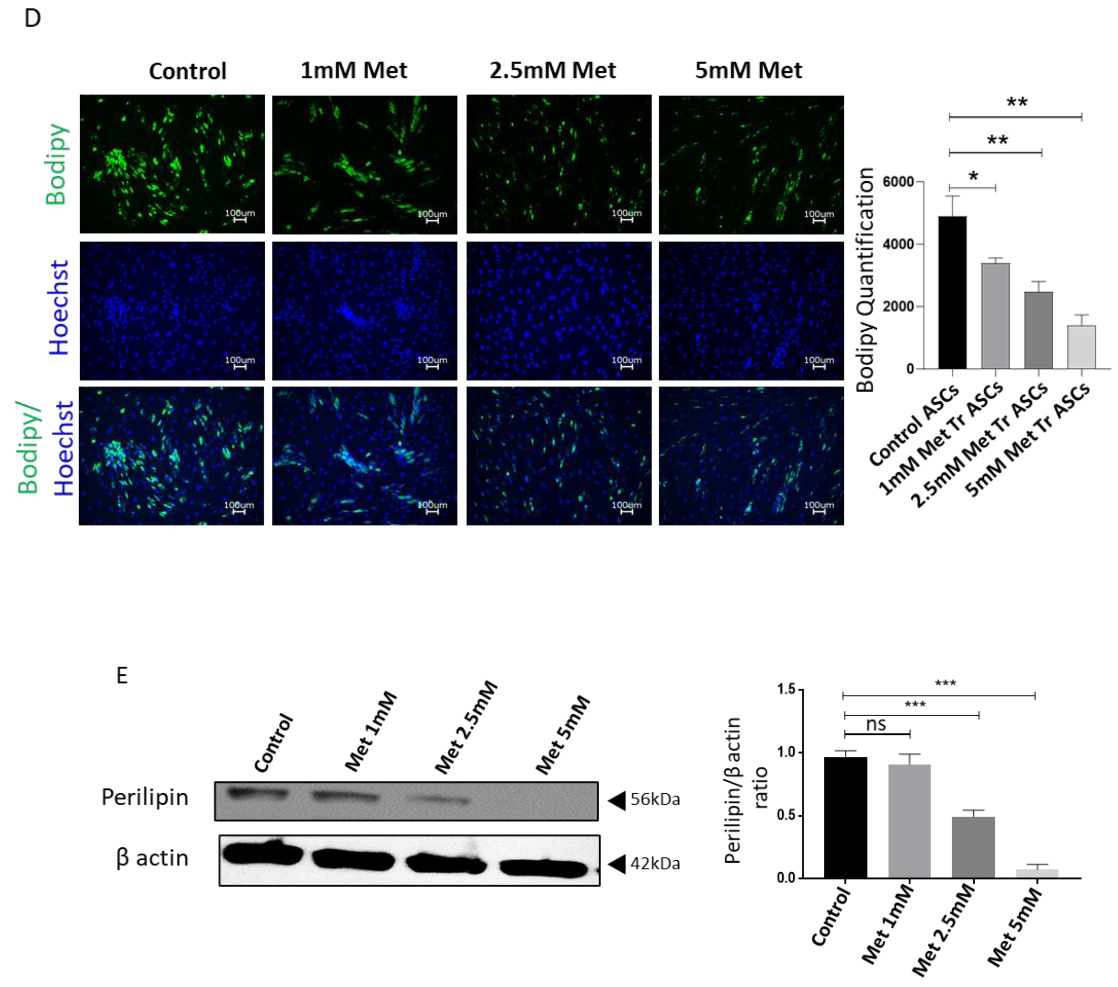 Biomedicines 09 01782 g001b