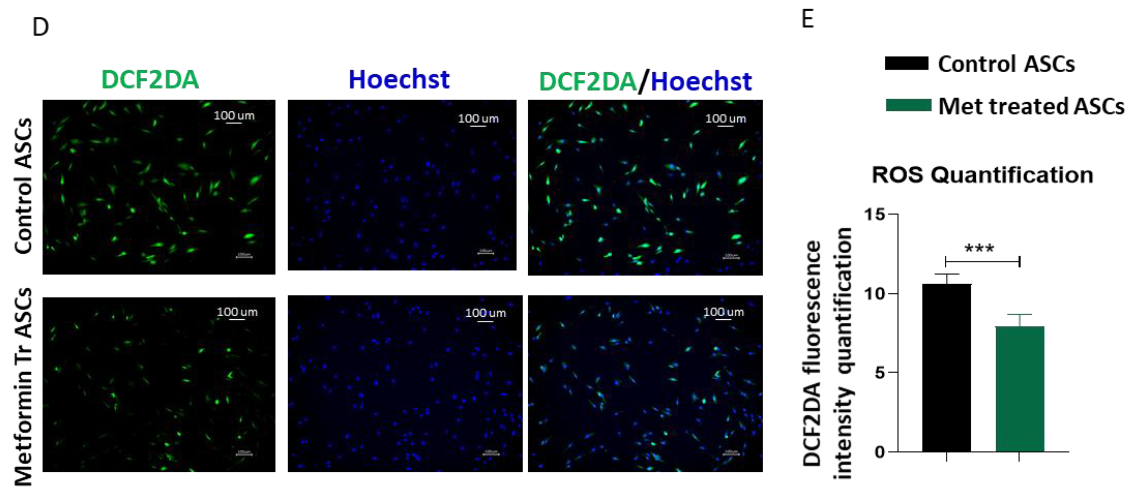 Biomedicines 09 01782 g003b