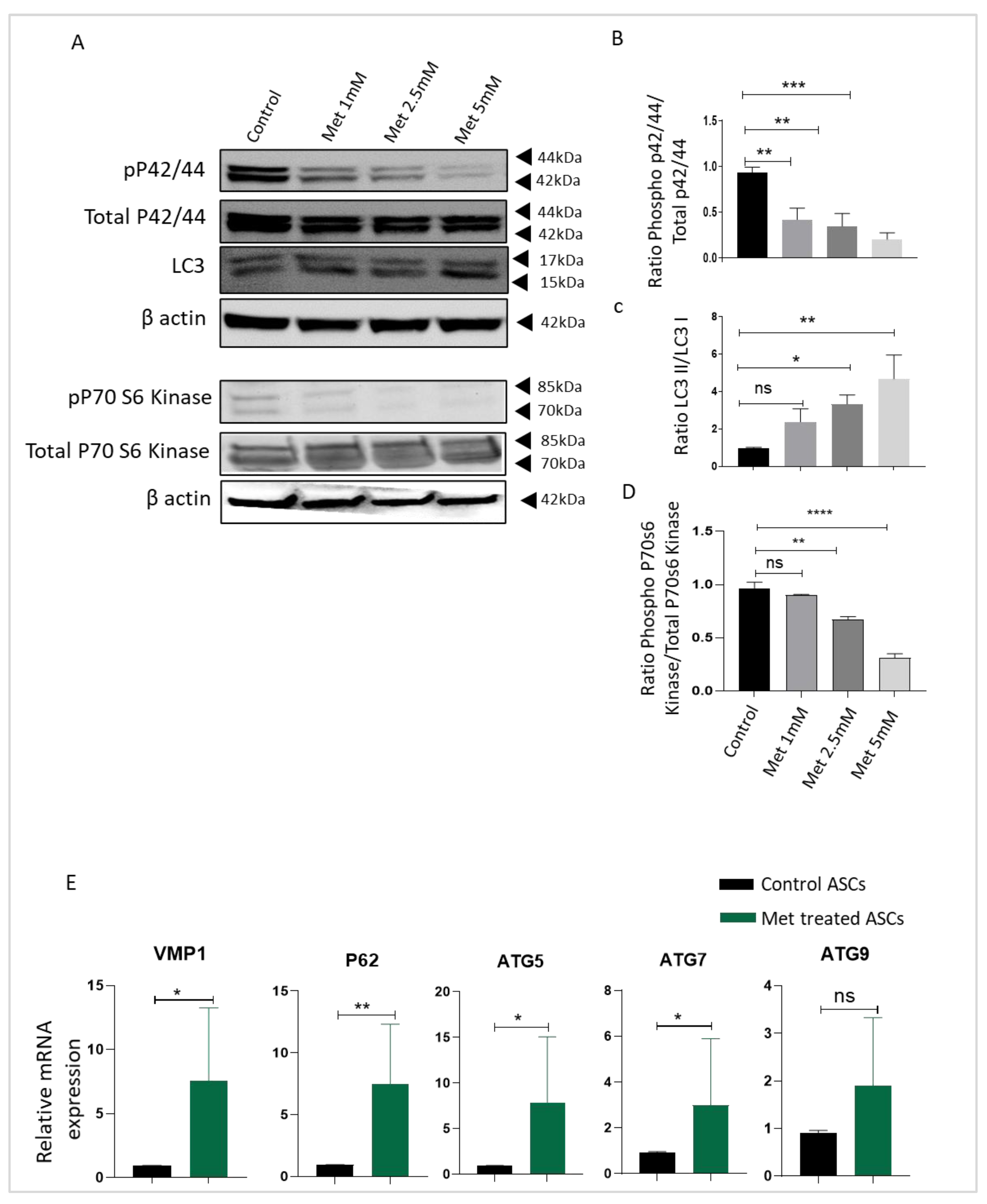 Biomedicines 09 01782 g004