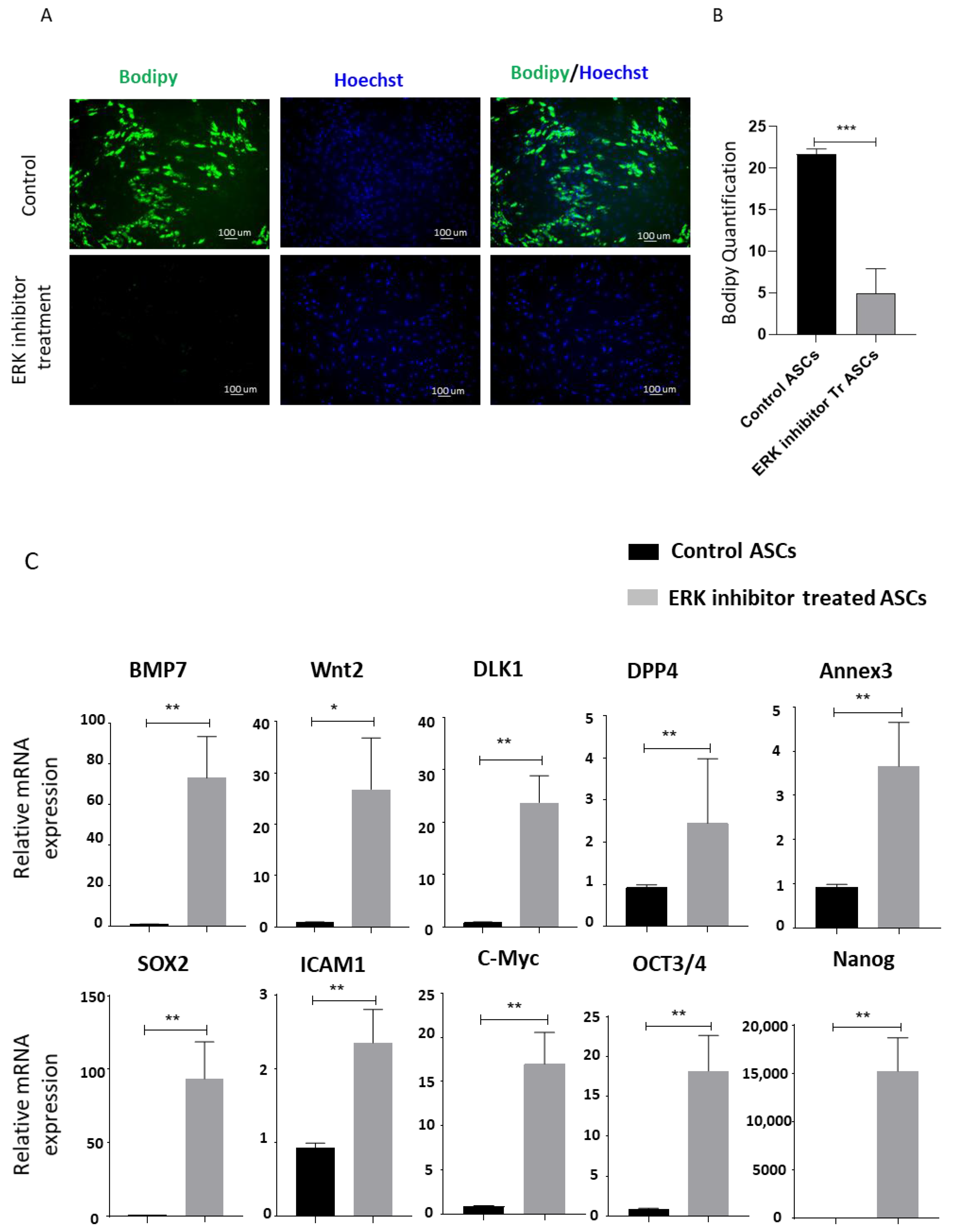 Biomedicines 09 01782 g005