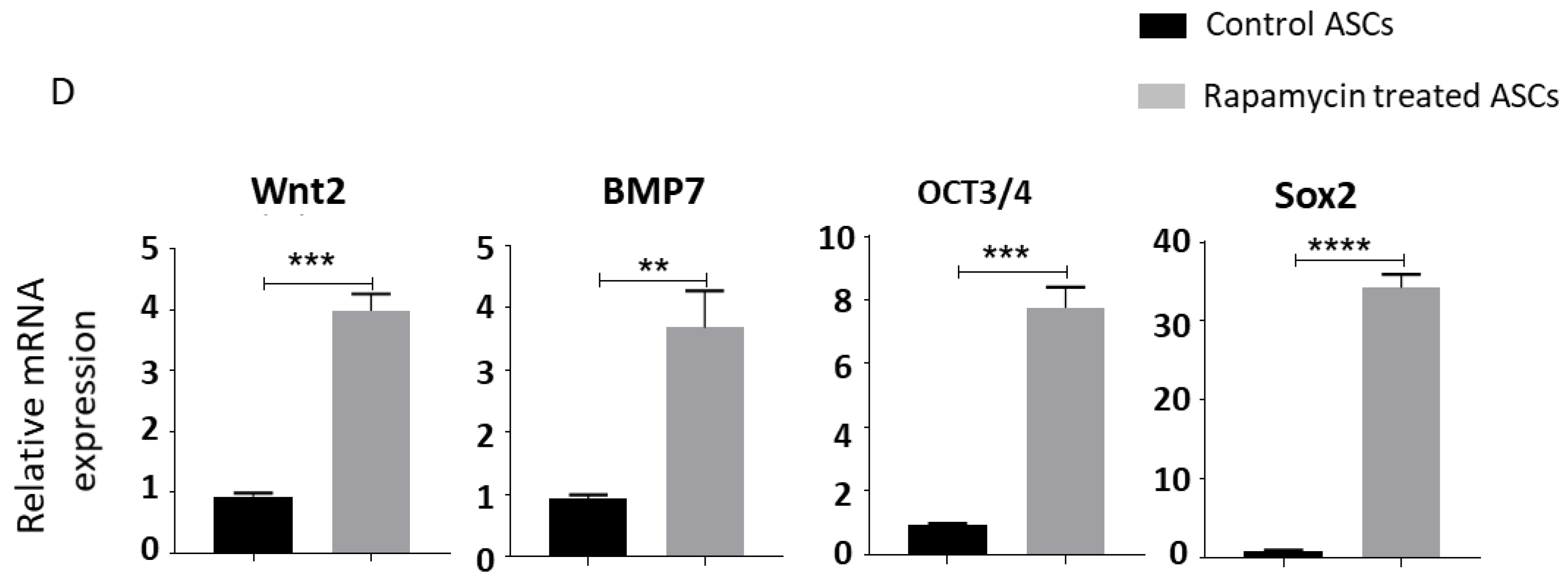 Biomedicines 09 01782 g006b