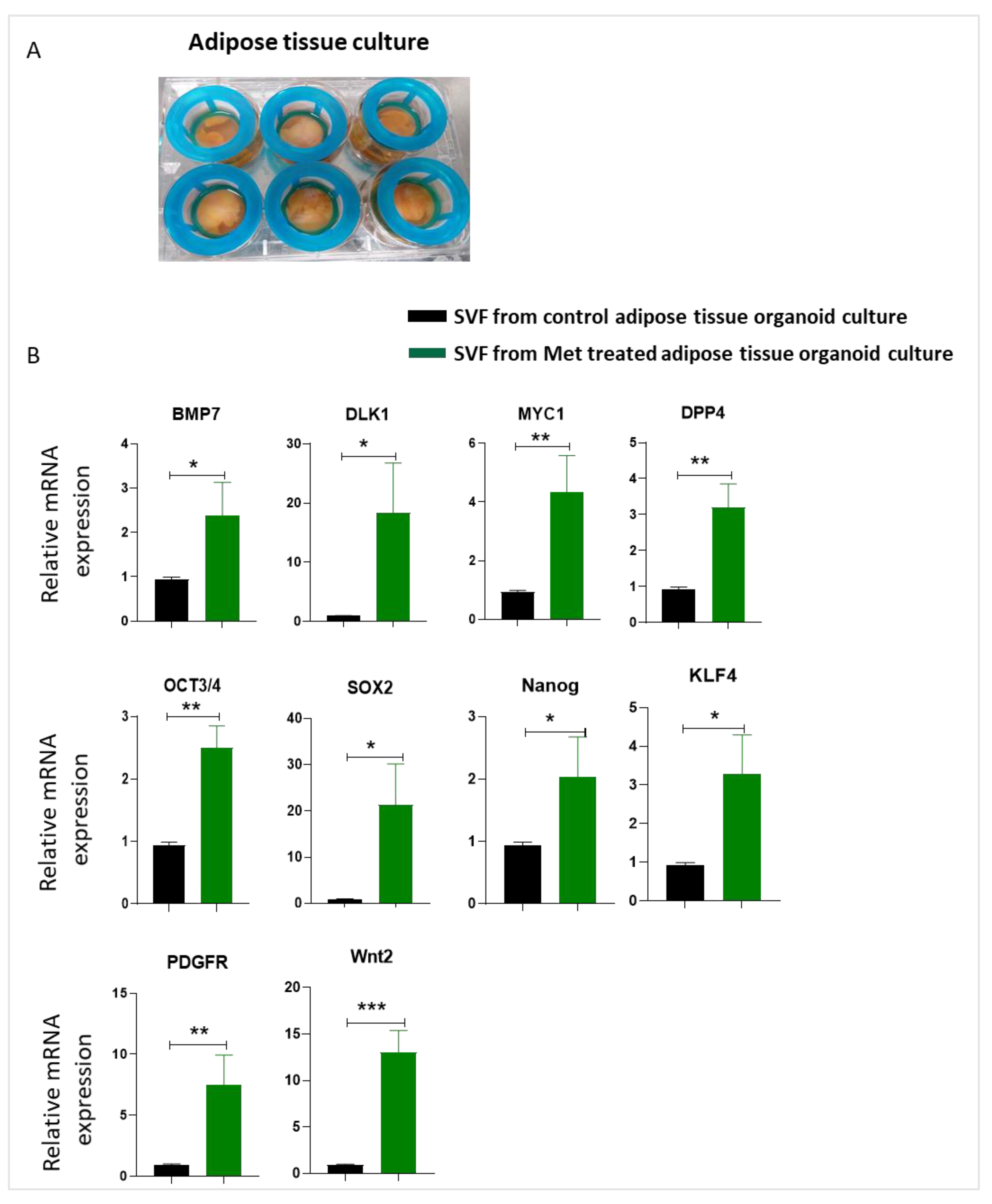 Biomedicines 09 01782 g007