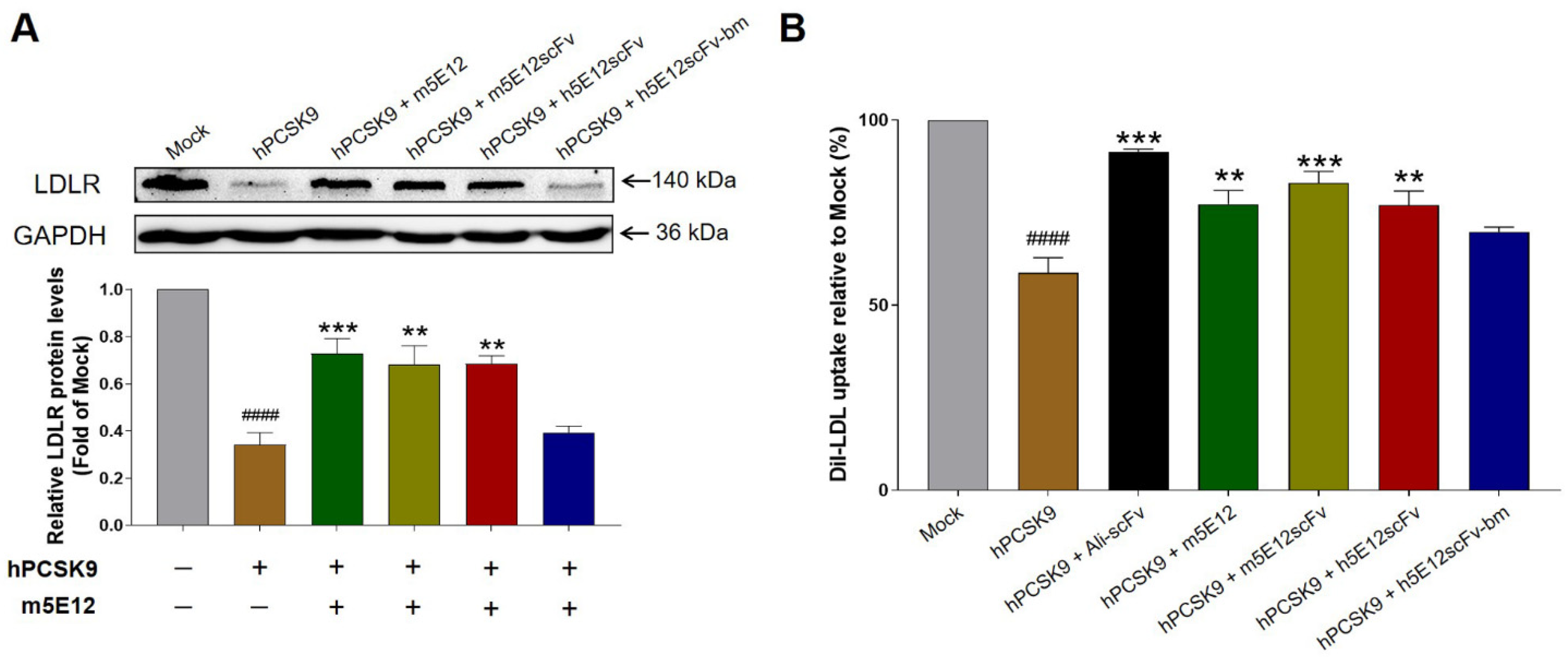 Biomedicines 09 01783 g004