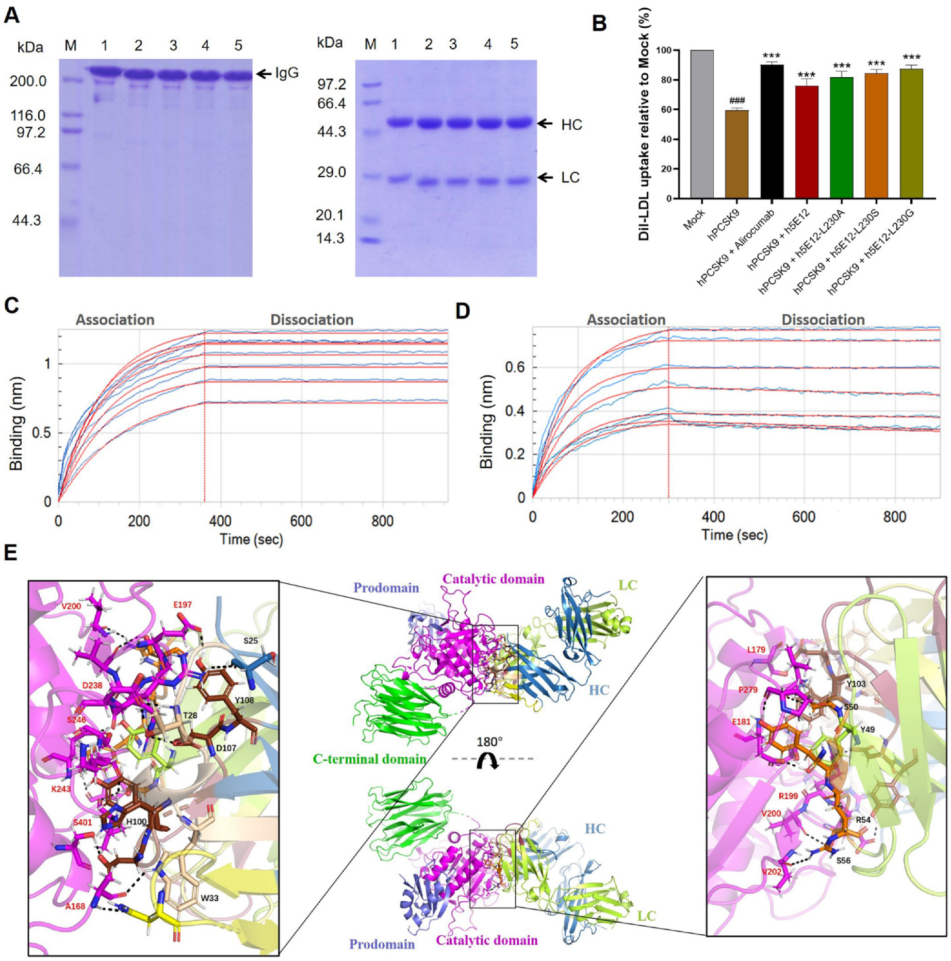 Biomedicines 09 01783 g006